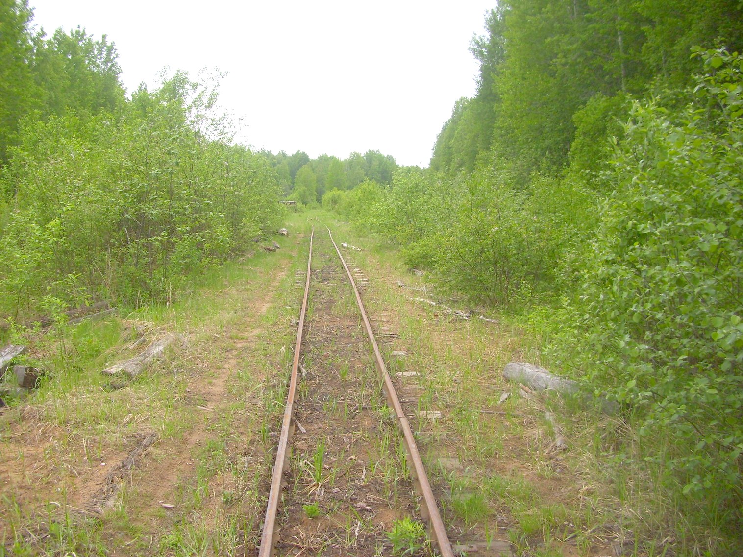 Зебляковская узкоколейная железная дорога
  —  фотографии, сделанные в 2010 году (часть 9)
