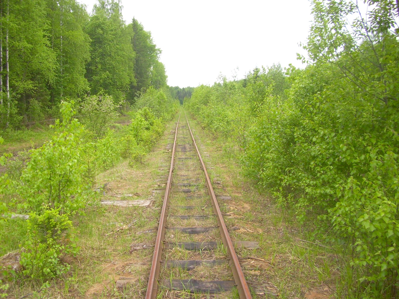 Зебляковская узкоколейная железная дорога
  —  фотографии, сделанные в 2010 году (часть 12)
