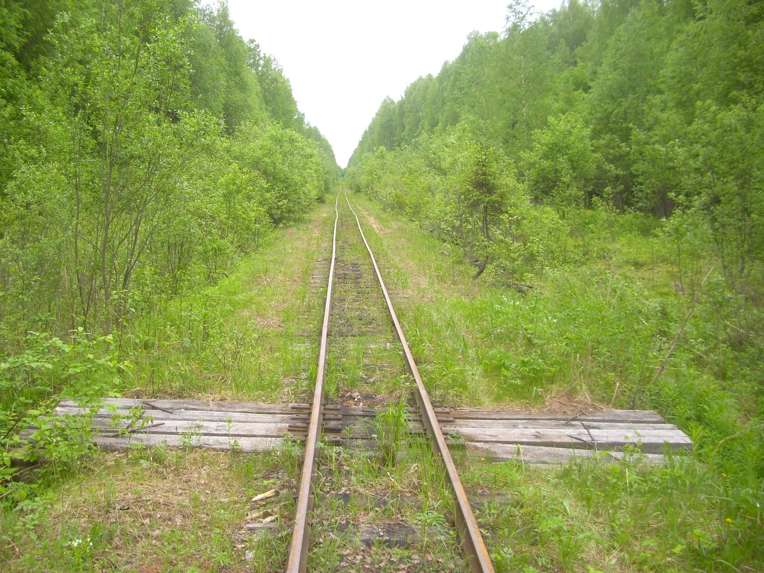 Зебляковская узкоколейная железная дорога
  —  фотографии, сделанные в 2010 году (часть 15)