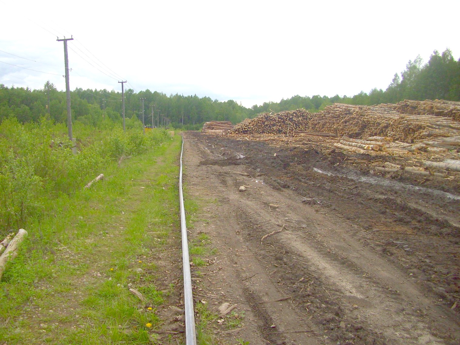 Зебляковская узкоколейная железная дорога
  —  фотографии, сделанные в 2010 году (часть 26)