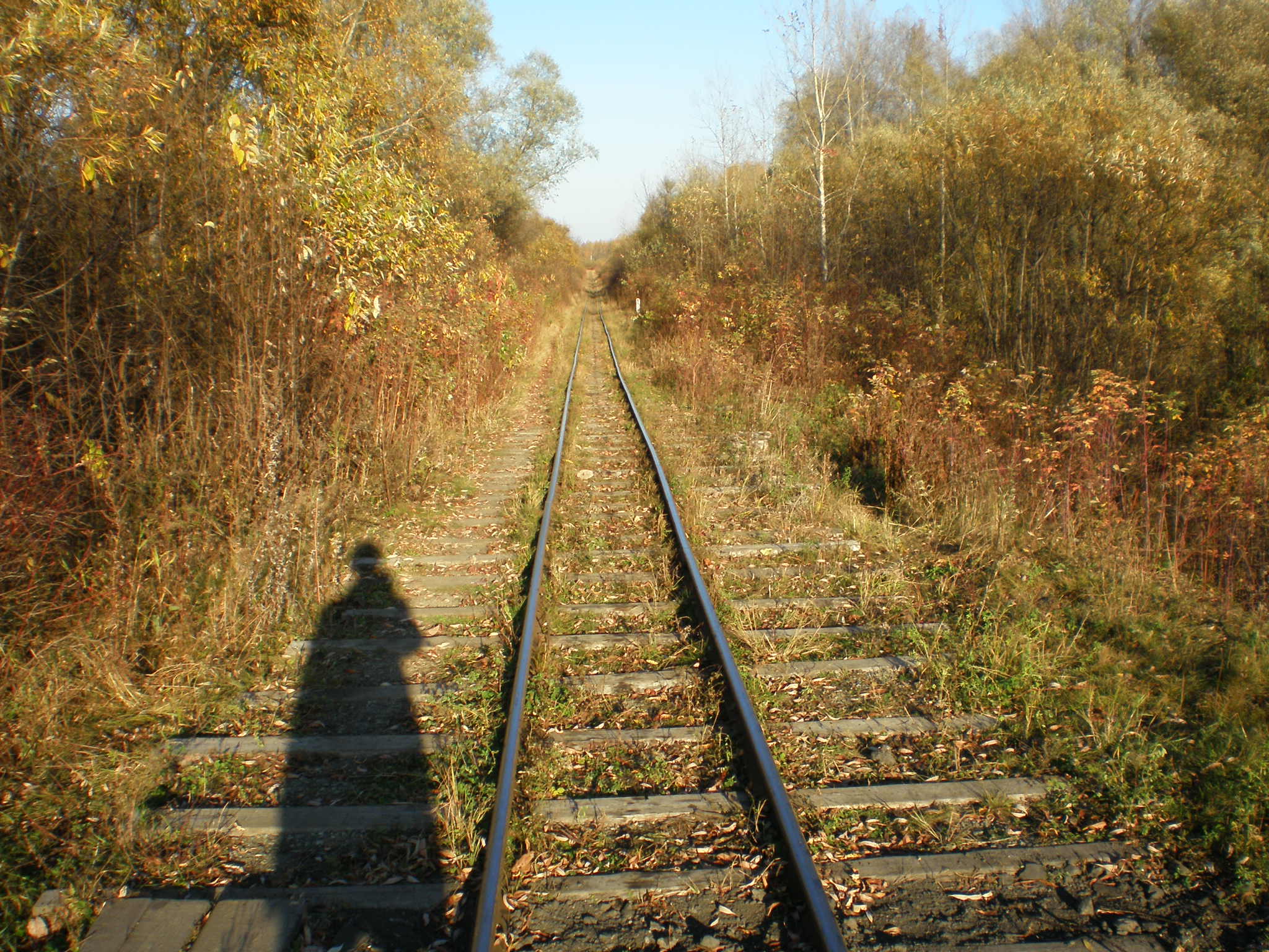 Алапаевская узкоколейная железная дорога — фотографии, сделанные в 2007 году (часть 52)
