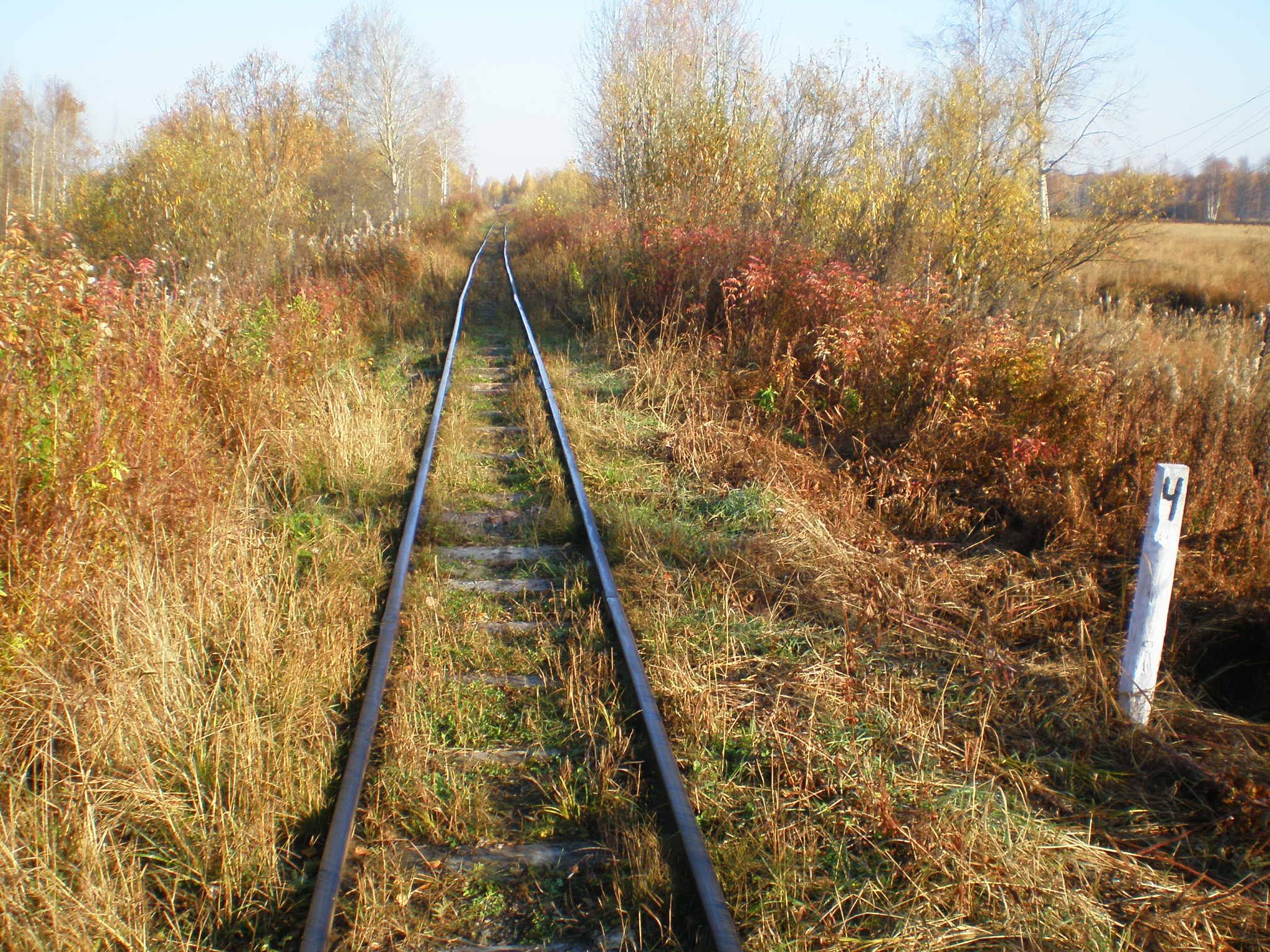 Алапаевская узкоколейная железная дорога — фотографии, сделанные в 2007 году (часть 55)