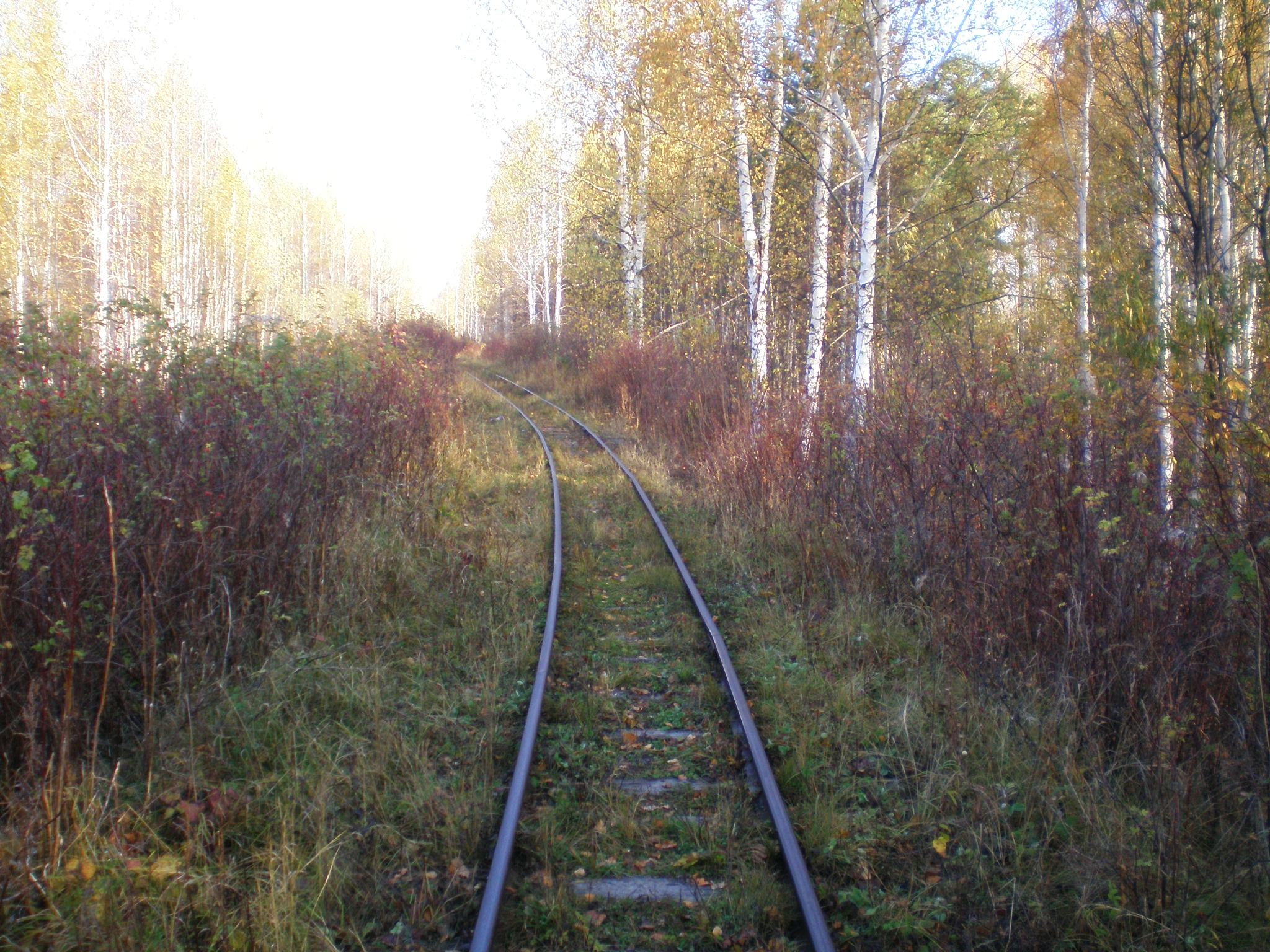 Алапаевская узкоколейная железная дорога — фотографии, сделанные в 2007 году (часть 57)