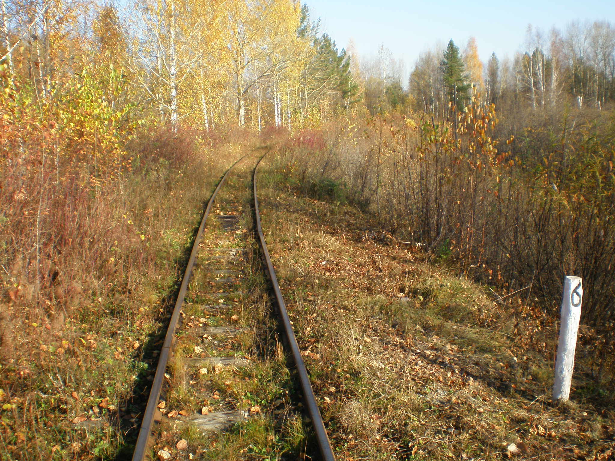 Алапаевская узкоколейная железная дорога — фотографии, сделанные в 2007 году (часть 58)