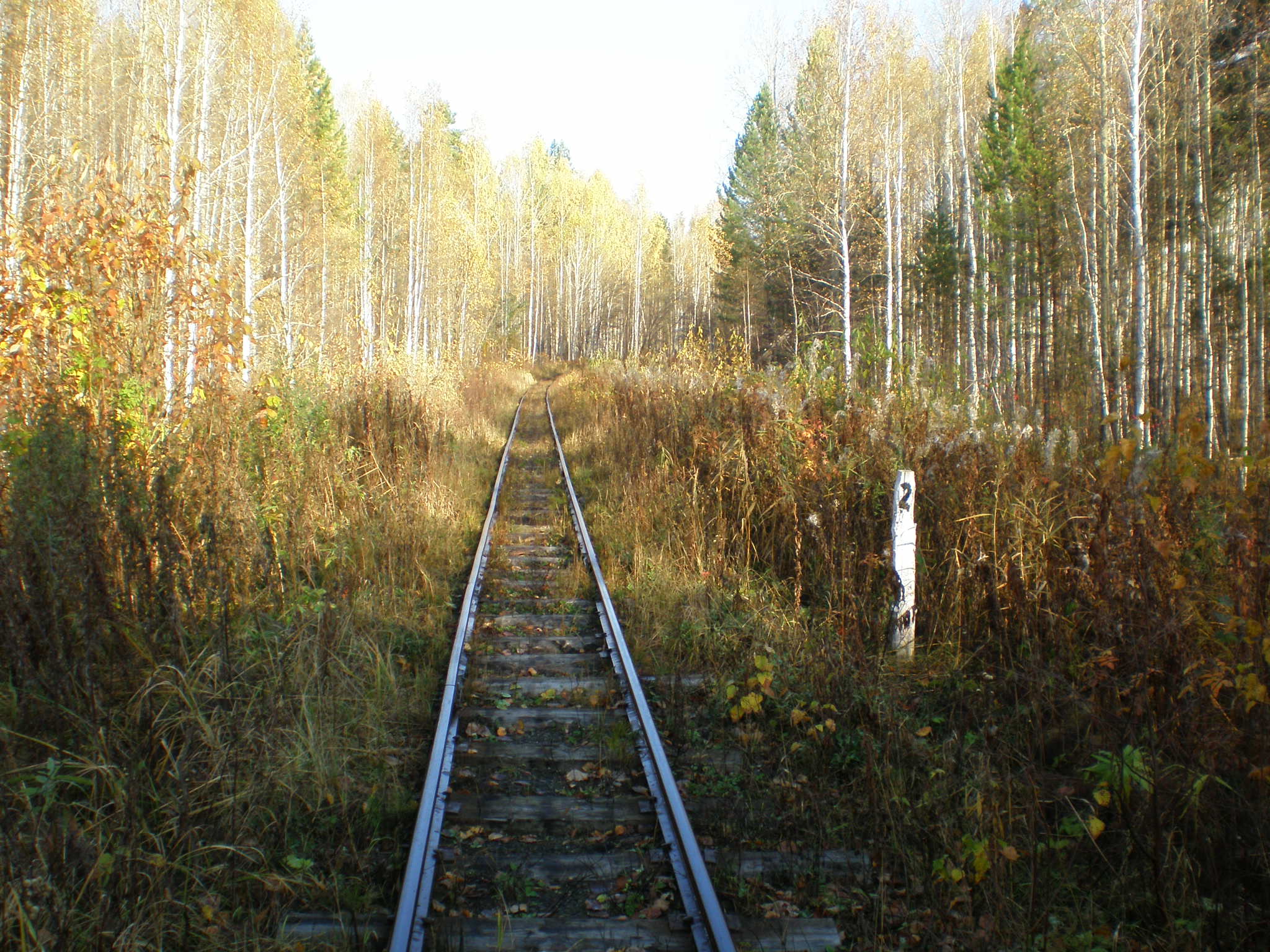 Алапаевская узкоколейная железная дорога — фотографии, сделанные в 2007 году (часть 60)