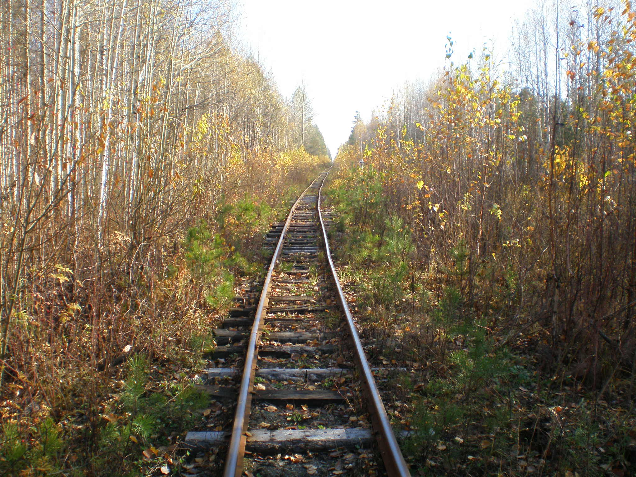 Алапаевская узкоколейная железная дорога — фотографии, сделанные в 2007 году (часть 62)