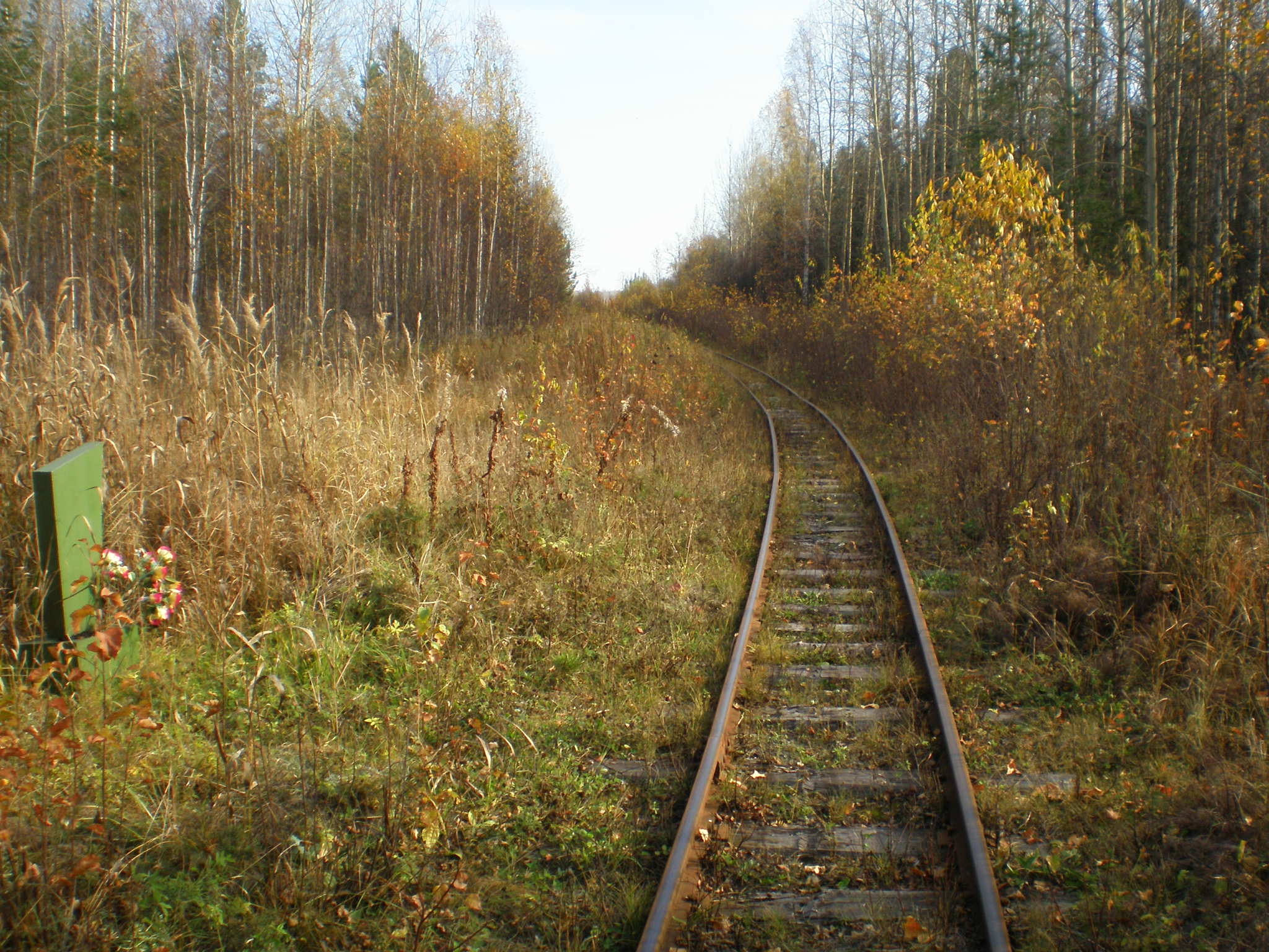 Алапаевская узкоколейная железная дорога — фотографии, сделанные в 2007 году (часть 64)