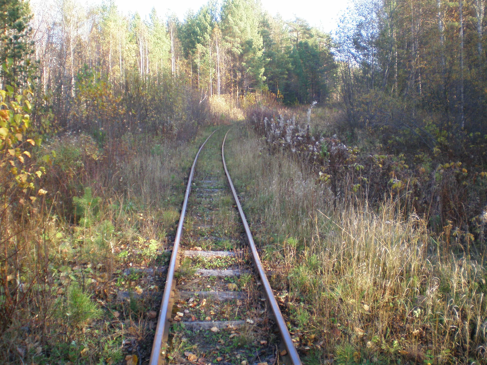 Алапаевская узкоколейная железная дорога — фотографии, сделанные в 2007 году (часть 68)