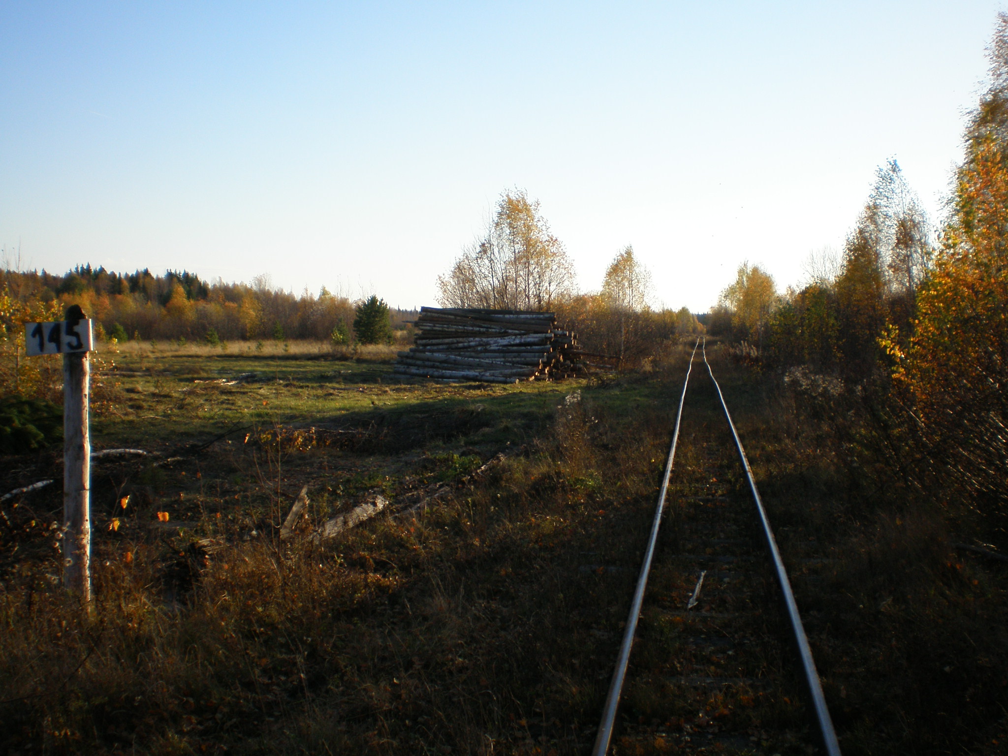 Алапаевская узкоколейная железная дорога — фотографии, сделанные в 2007 году (часть 70)