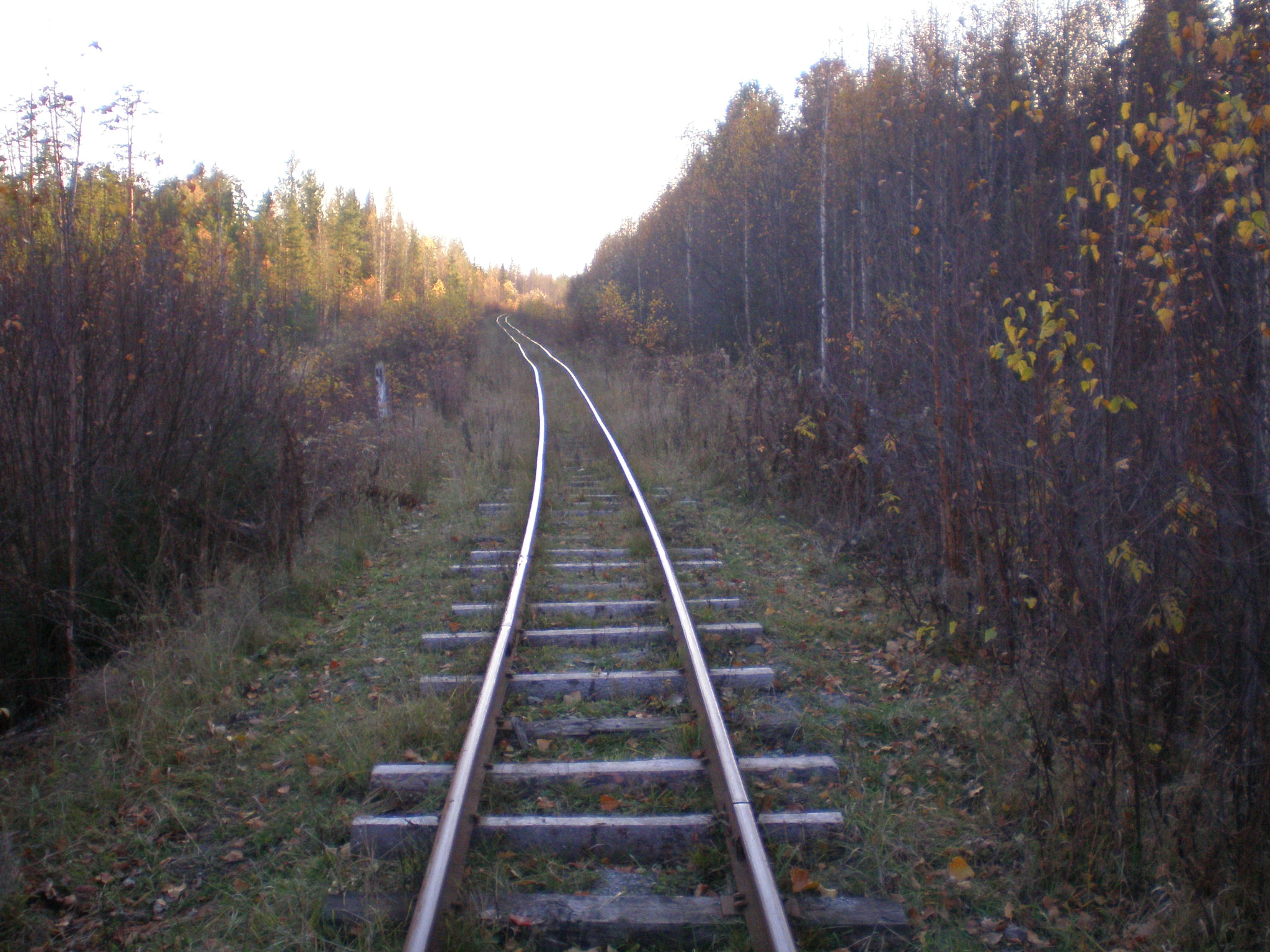 Алапаевская узкоколейная железная дорога — фотографии, сделанные в 2007 году (часть 71)