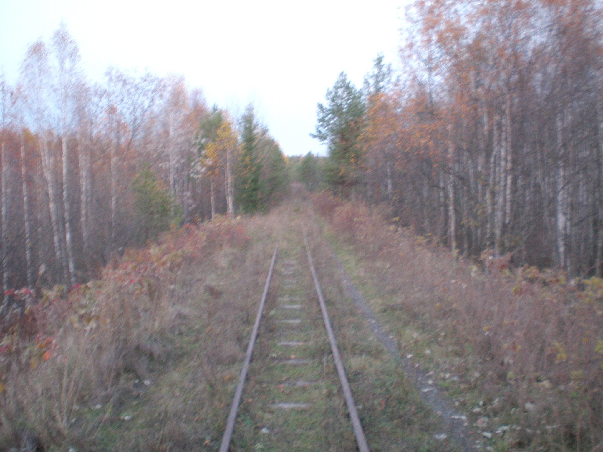 Алапаевская узкоколейная железная дорога — фотографии, сделанные в 2007 году (часть 78)