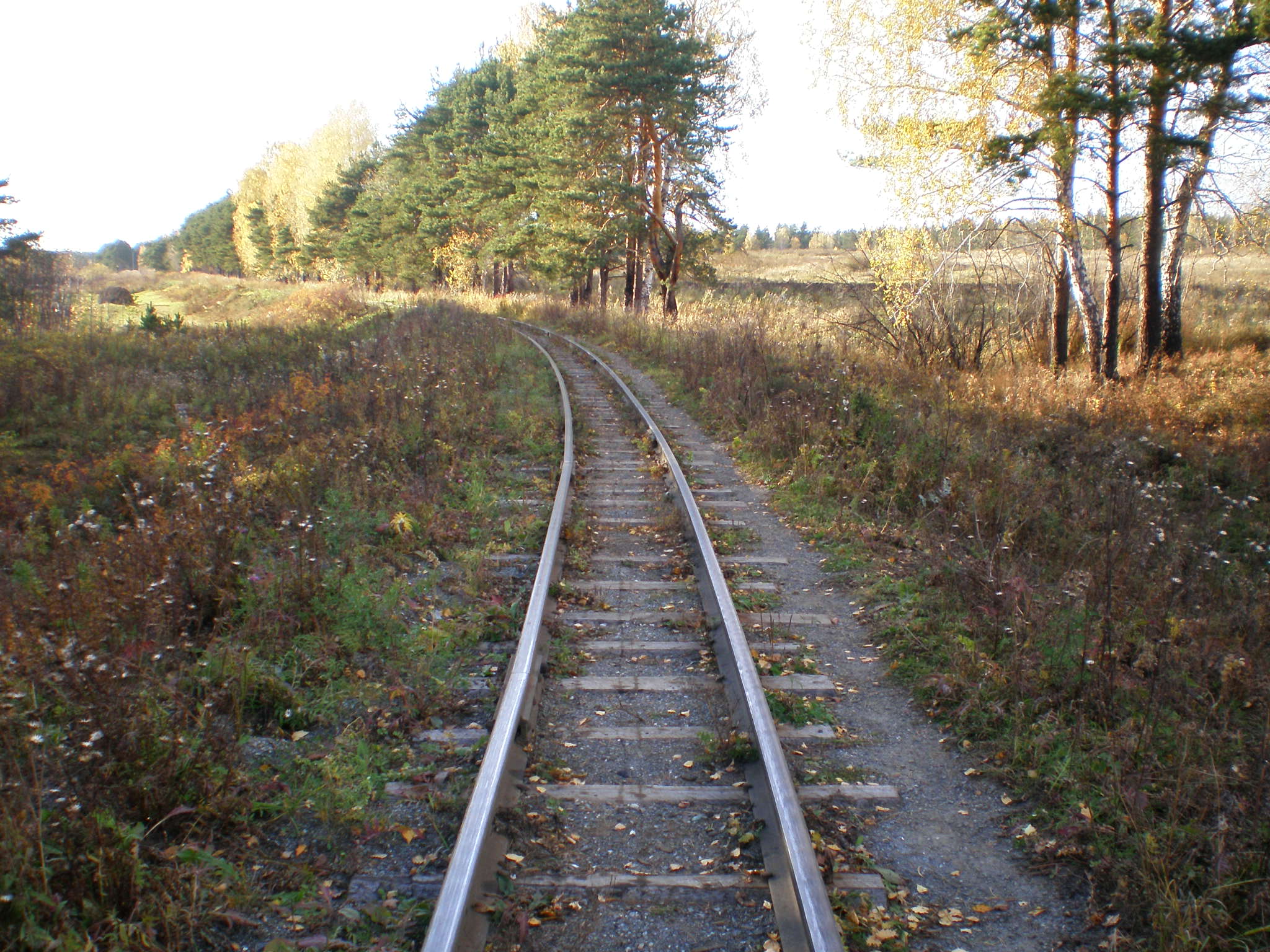 Алапаевская узкоколейная железная дорога — фотографии, сделанные в 2007 году (часть 20)