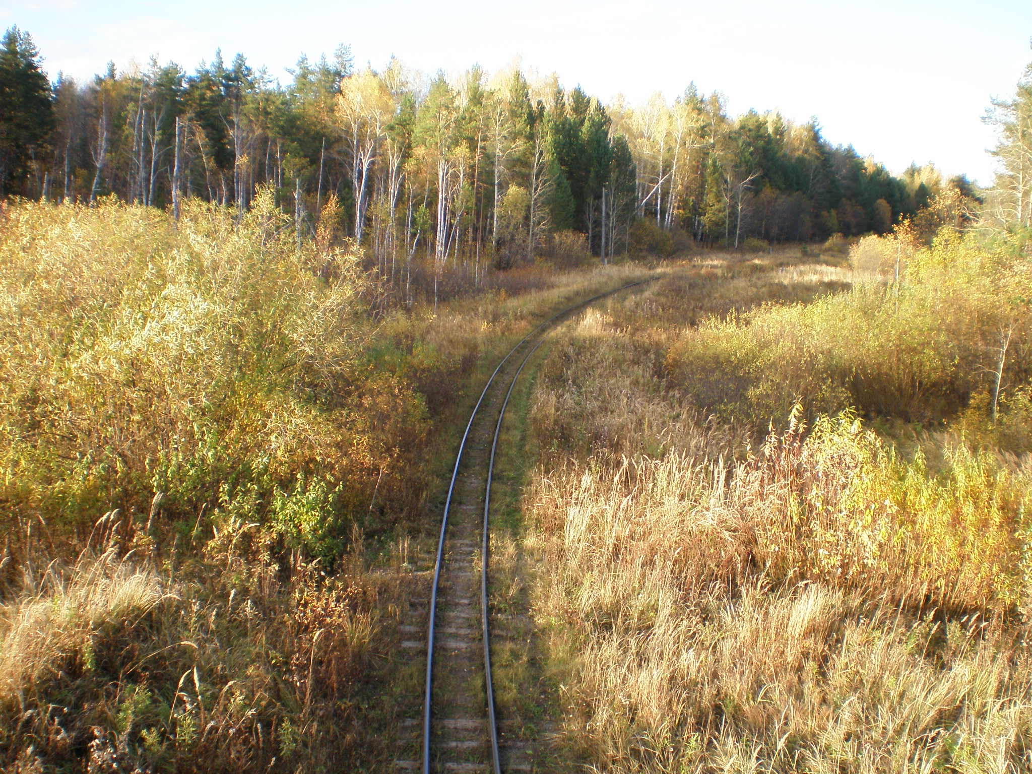 Алапаевская узкоколейная железная дорога — фотографии, сделанные в 2007 году (часть 22)