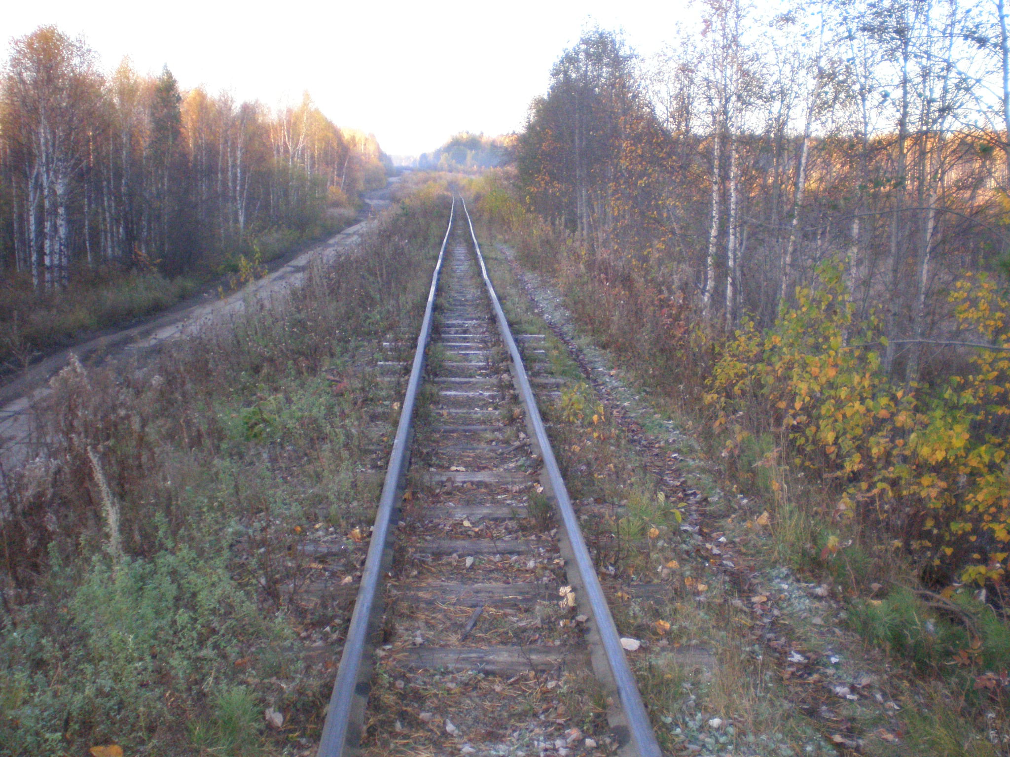 Алапаевская узкоколейная железная дорога — фотографии, сделанные в 2007 году (часть 28)