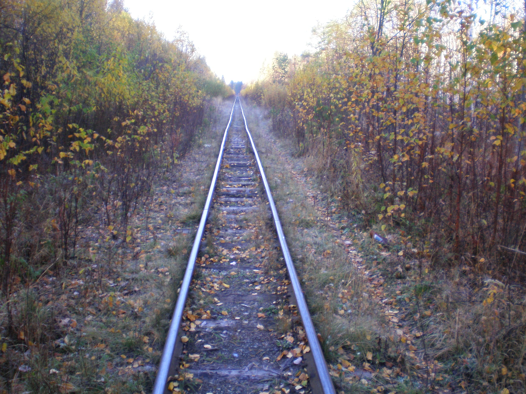 Алапаевская узкоколейная железная дорога — фотографии, сделанные в 2007 году (часть 30)