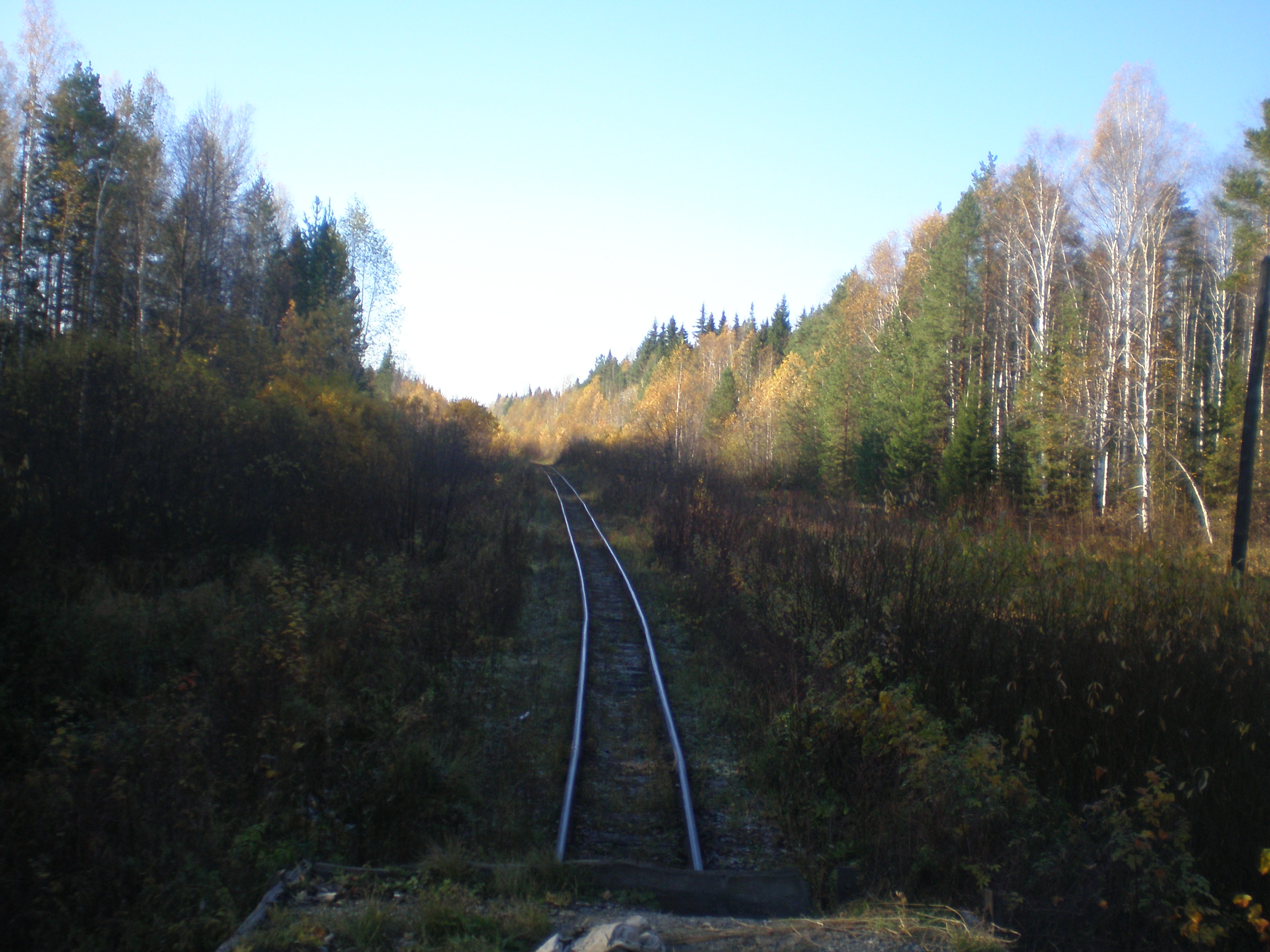 Алапаевская узкоколейная железная дорога — фотографии, сделанные в 2007 году (часть 34)