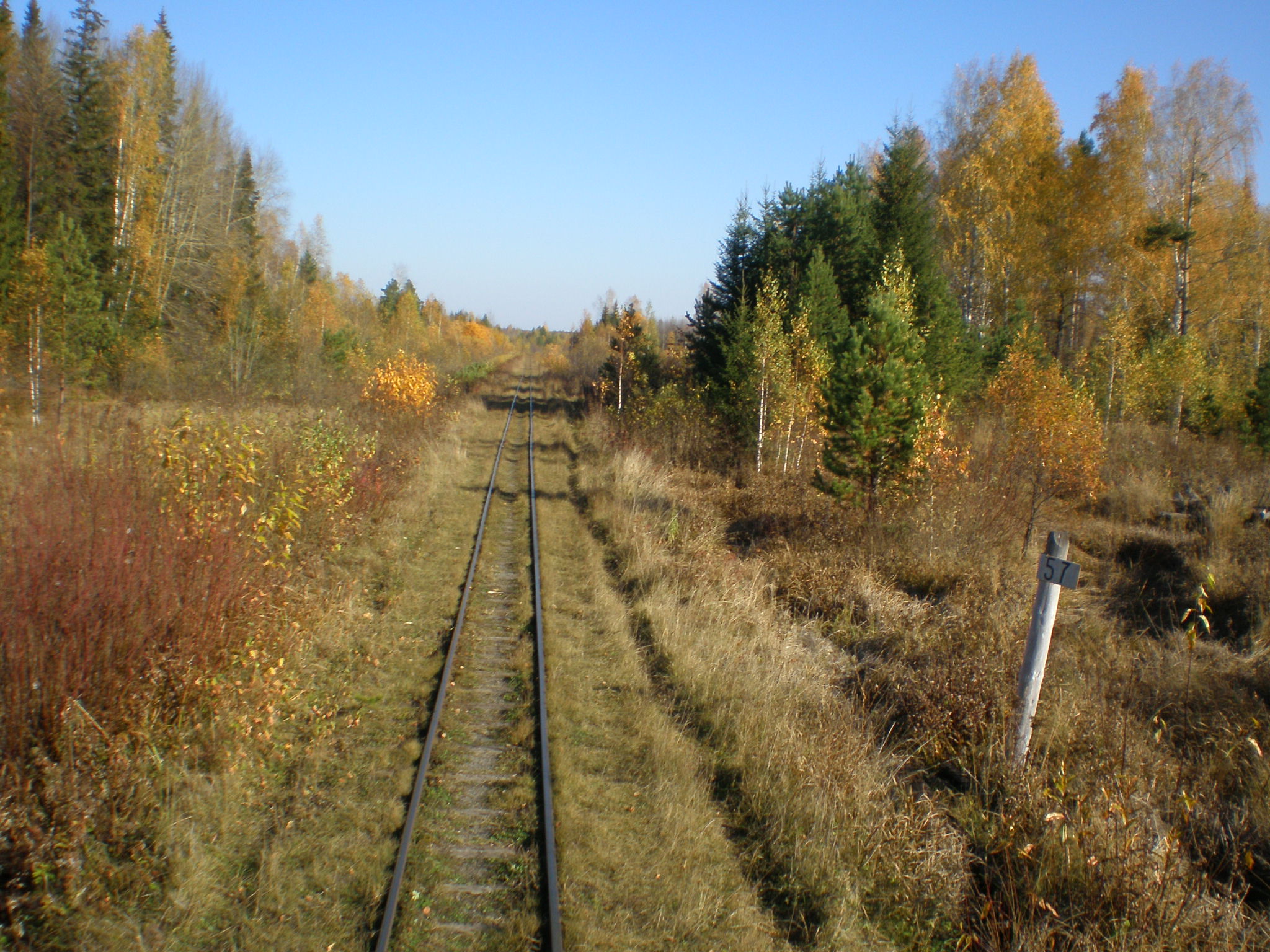 Алапаевская узкоколейная железная дорога — фотографии, сделанные в 2007 году (часть 36)