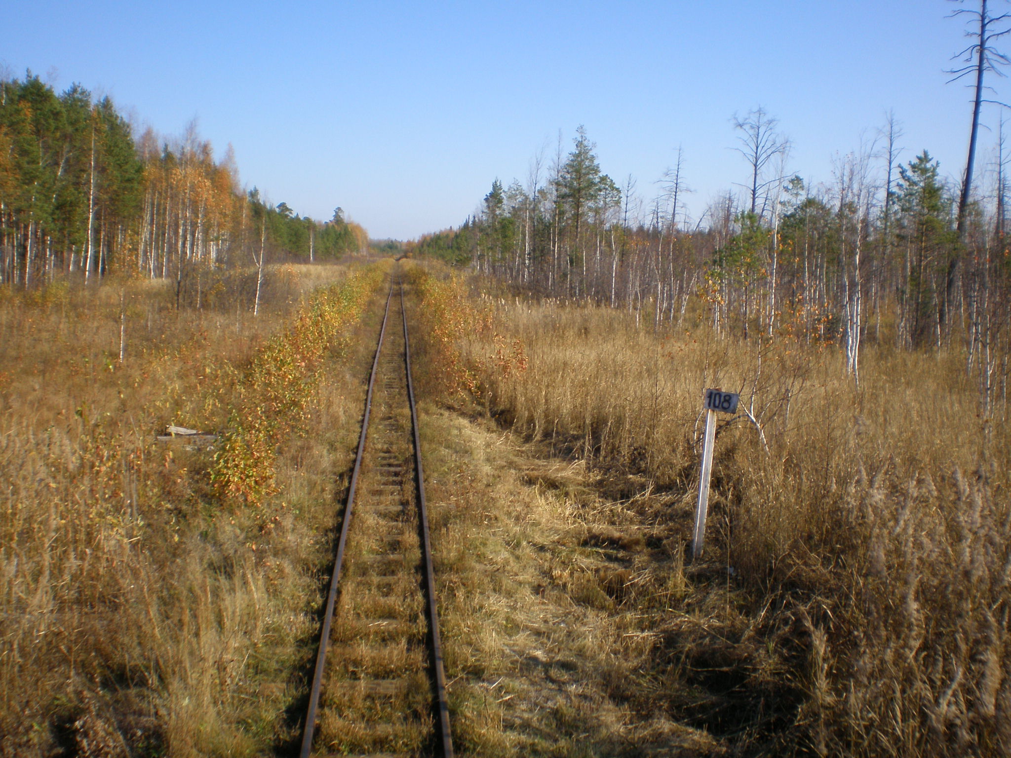Алапаевская узкоколейная железная дорога — фотографии, сделанные в 2007 году (часть 40)