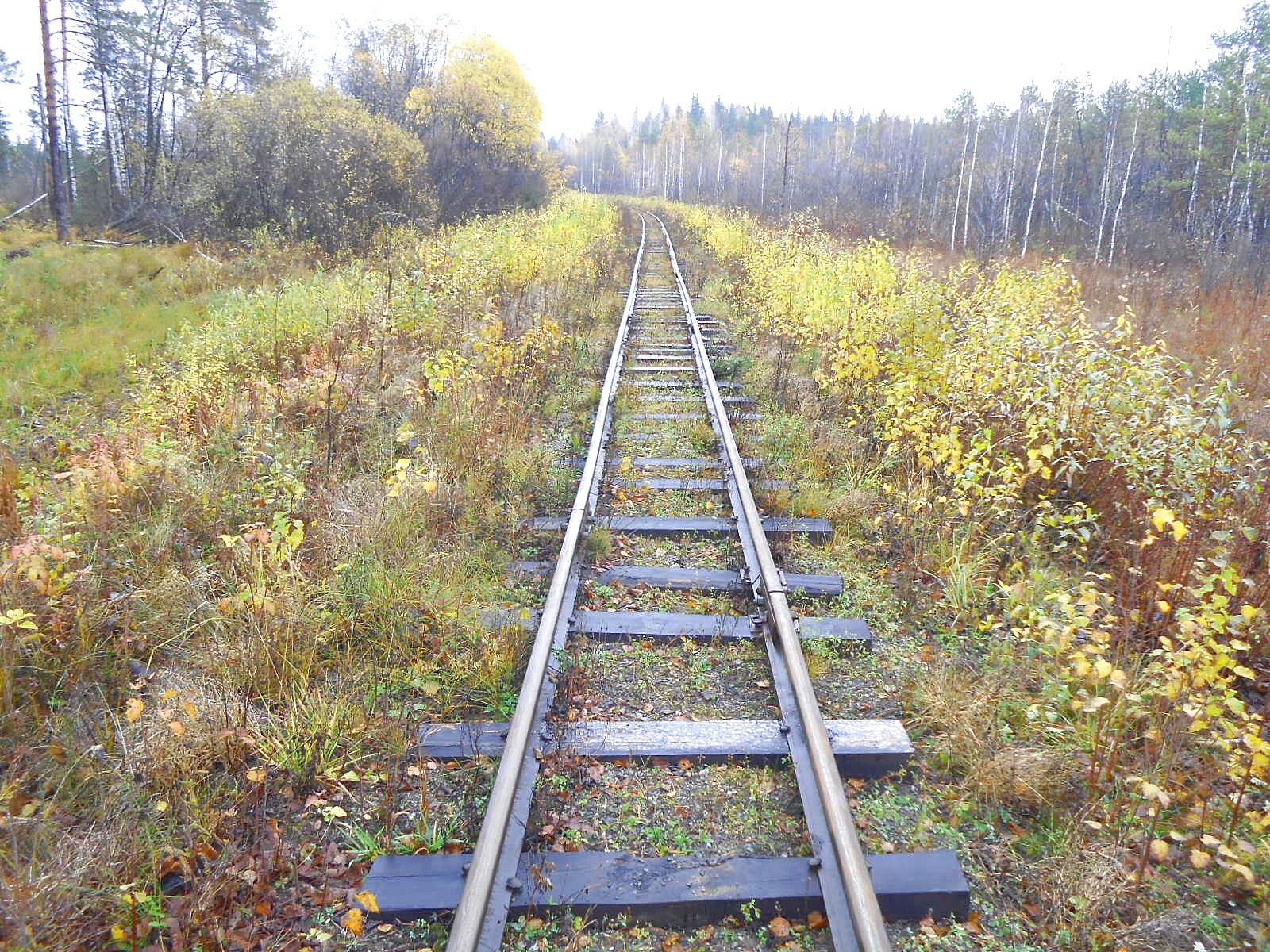 Алапаевская узкоколейная железная дорога — фотографии, сделанные в 2014 году (часть 4)