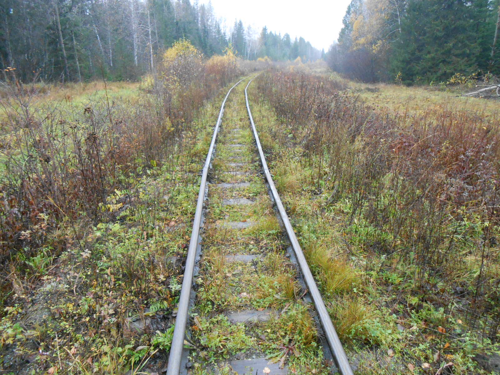 Алапаевская узкоколейная железная дорога — фотографии, сделанные в 2014 году (часть 6)