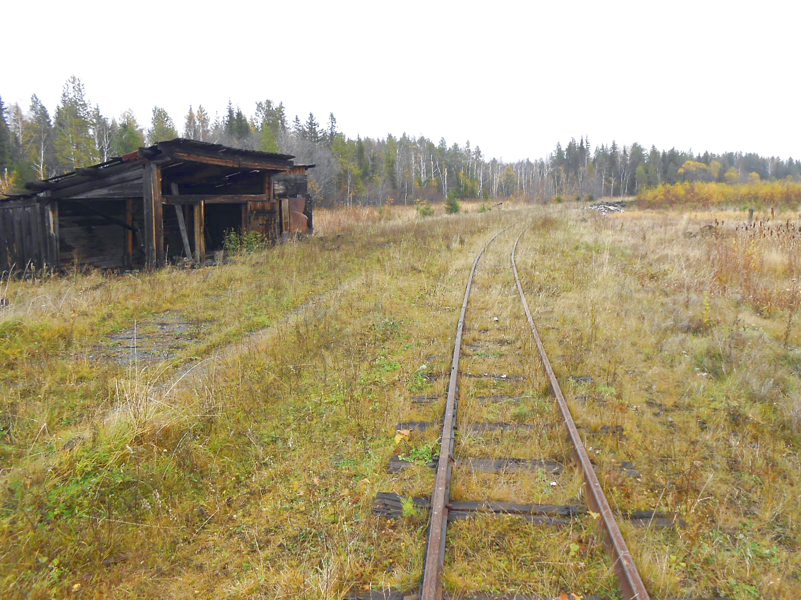 Алапаевская узкоколейная железная дорога — фотографии, сделанные в 2014 году (часть 10)