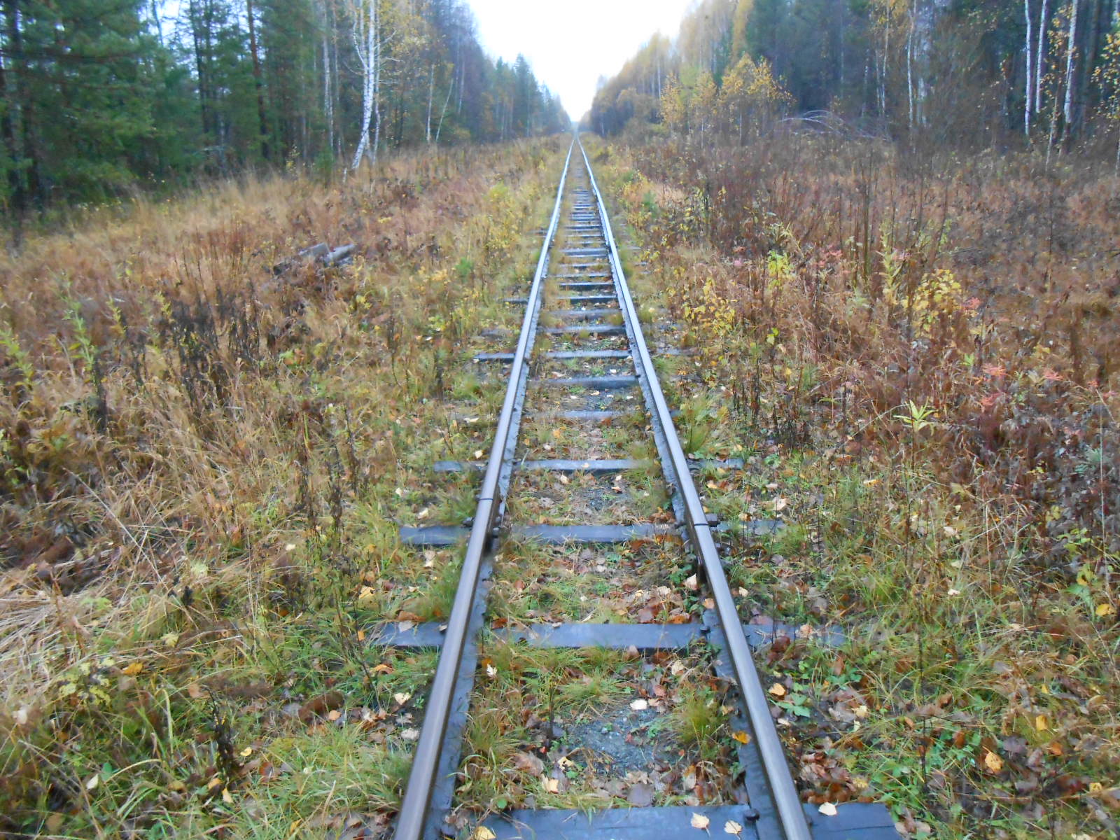 Алапаевская узкоколейная железная дорога — фотографии, сделанные в 2014 году (часть 2)
