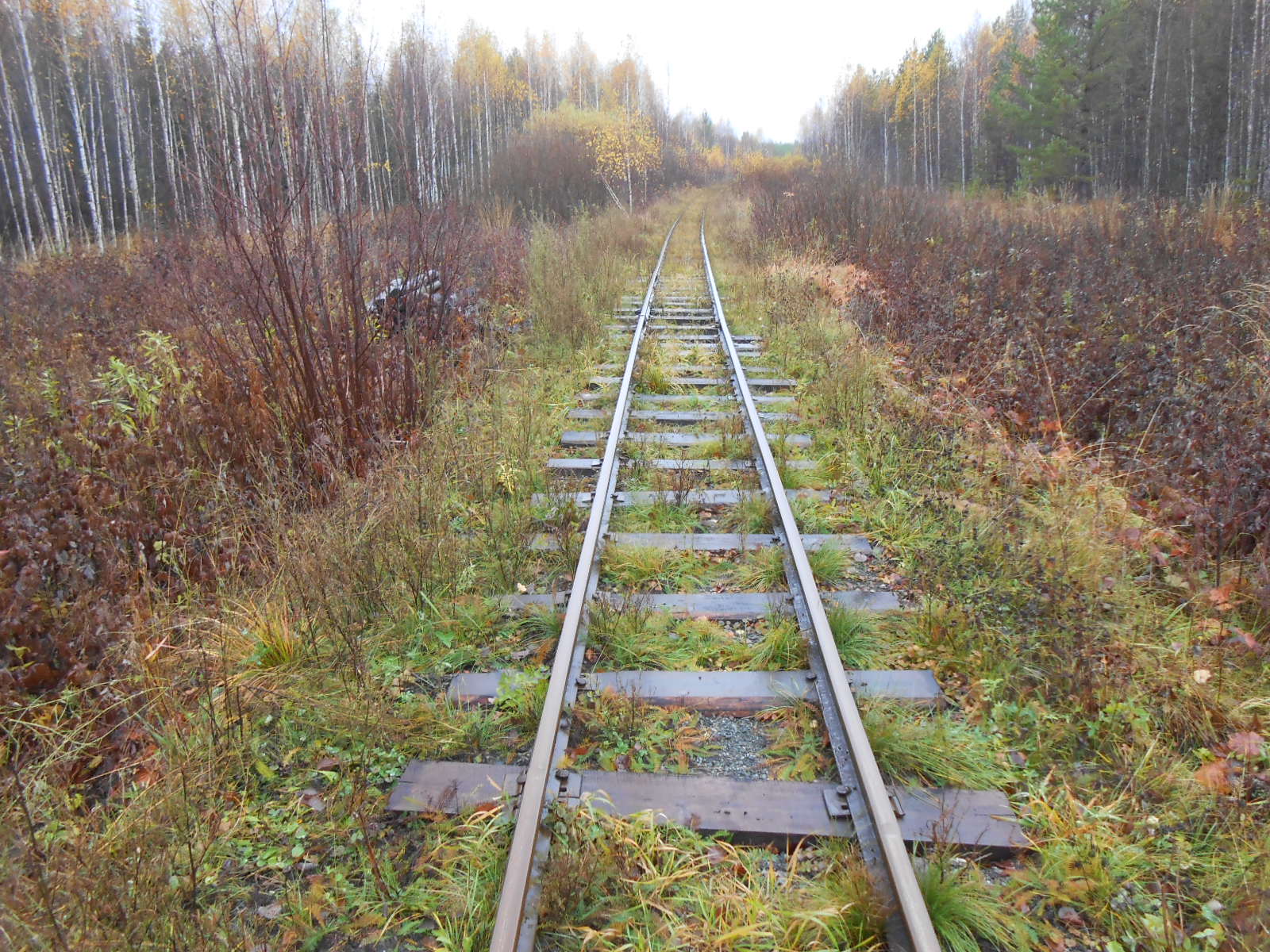 Алапаевская узкоколейная железная дорога — фотографии, сделанные в 2014 году (часть 16)