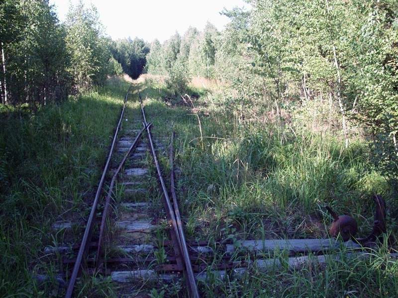 Узкоколейная железная дорога Васильевского предприятия промышленного железнодорожного транспорта  — фотографии, сделанные в 2005 году (часть 35)