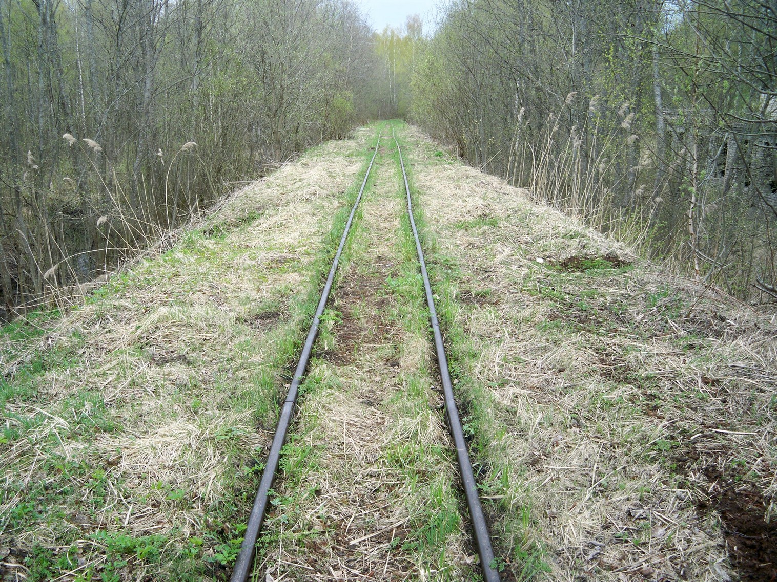 Узкоколейная железная дорога Васильевского предприятия промышленного железнодорожного транспорта  — фотографии, сделанные в 2014 году (часть 13)