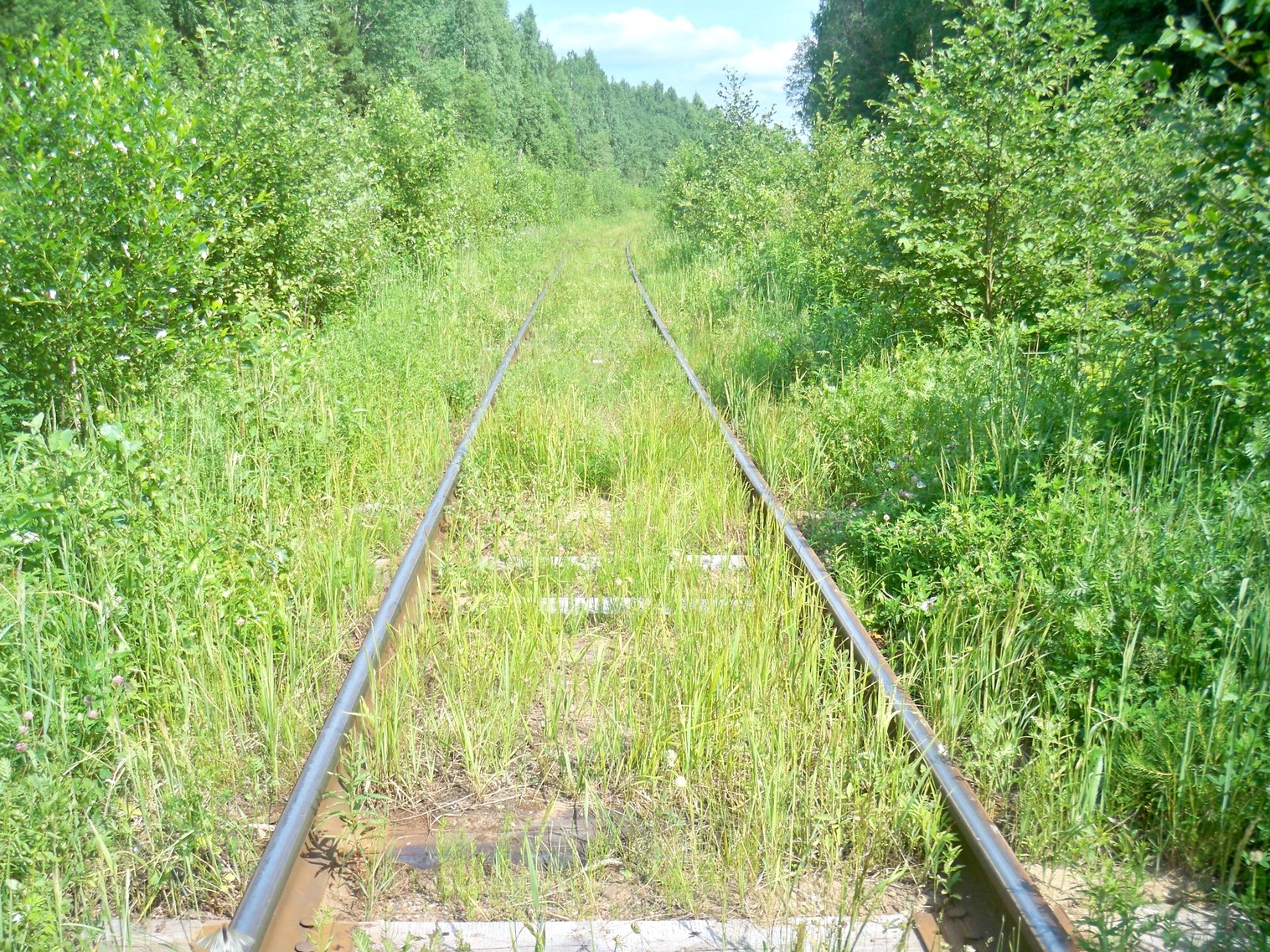 Монзенская железная дорога
  —  фотографии, сделанные в 2013 году (часть 10)