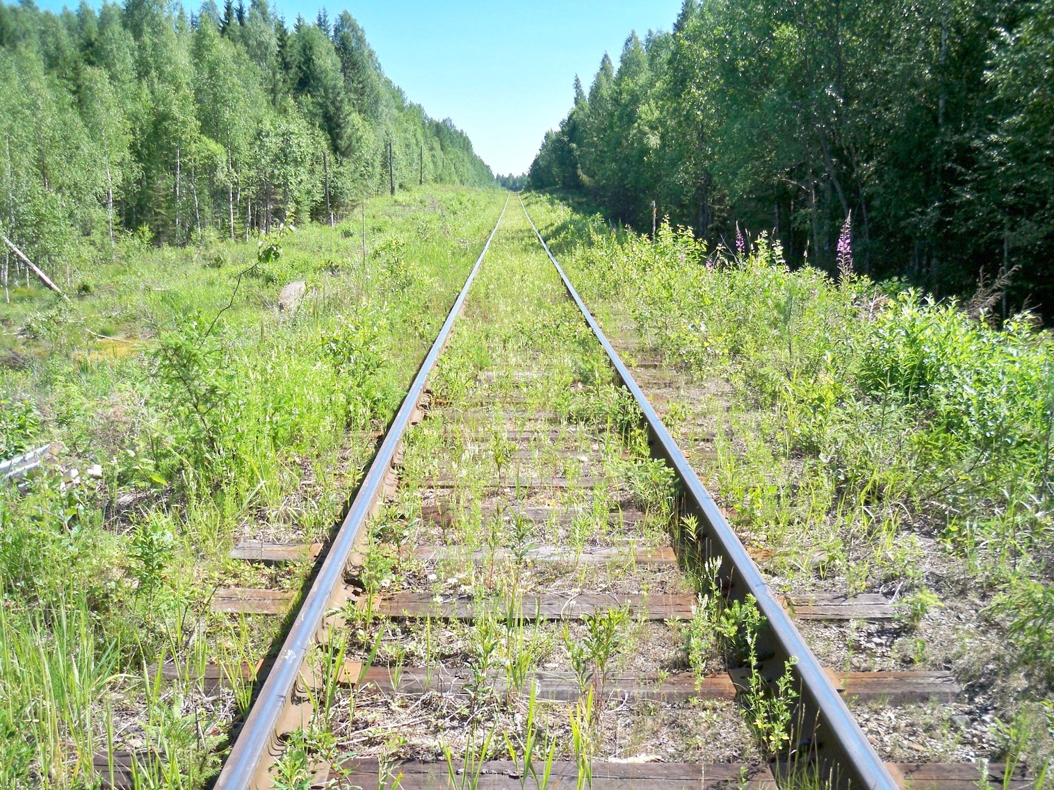 Монзенская железная дорога
  —  фотографии, сделанные в 2013 году (часть 21)