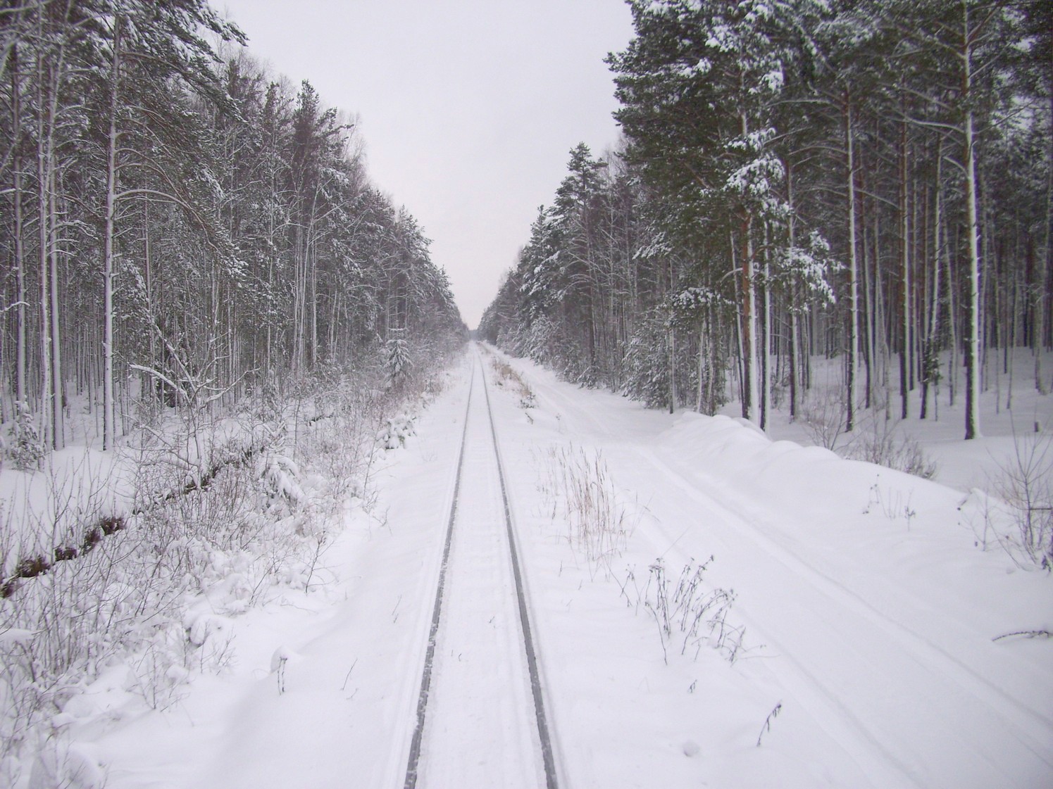 Узкоколейная железная дорога  Тверского комбината строительных материалов №2 — фотографии, сделанные в 2010 году (часть 9)