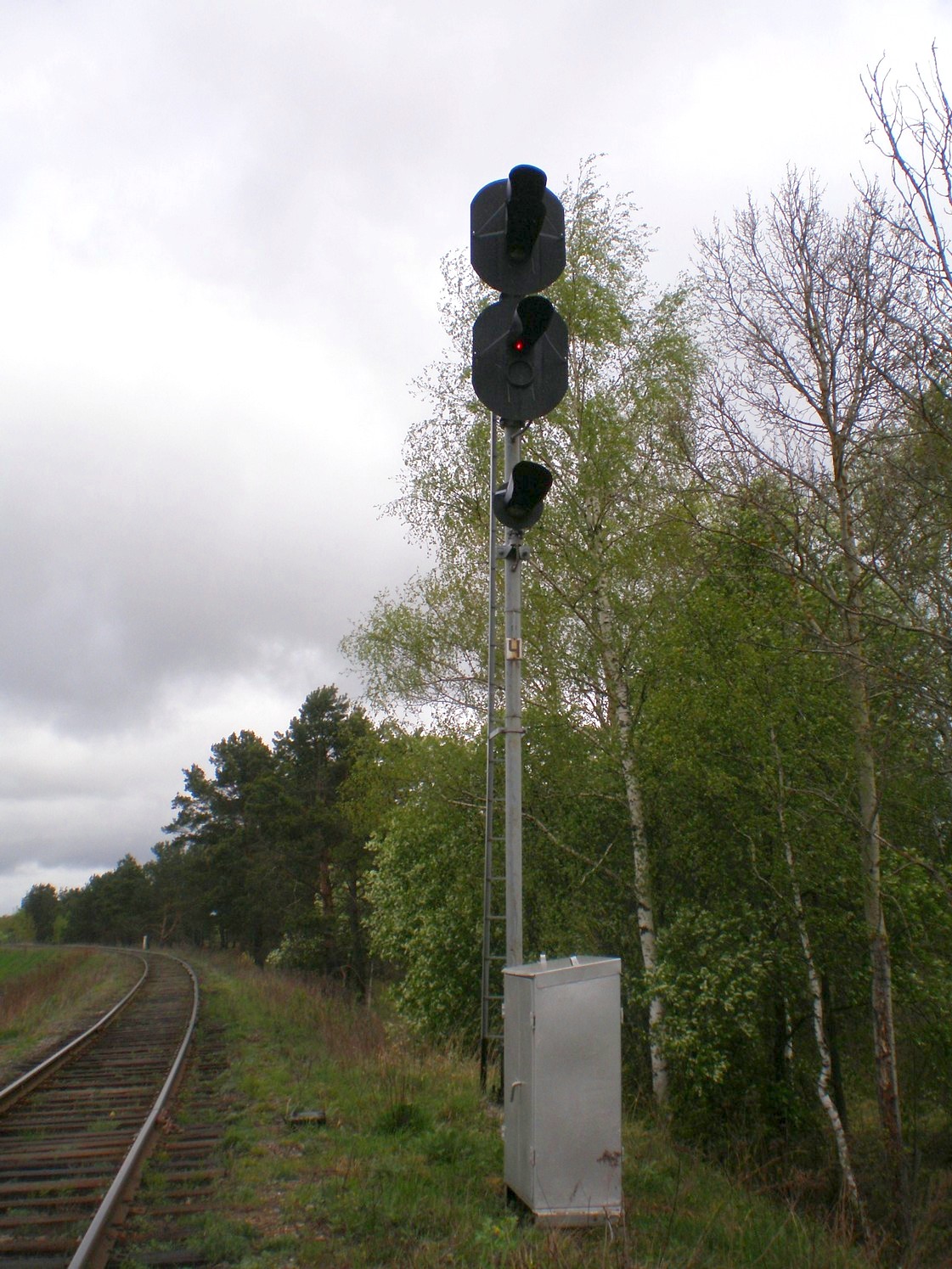 Железнодорожная линия Дорошиха — Васильевский Мох — фотографии, сделанные в 2008 году (часть 10)