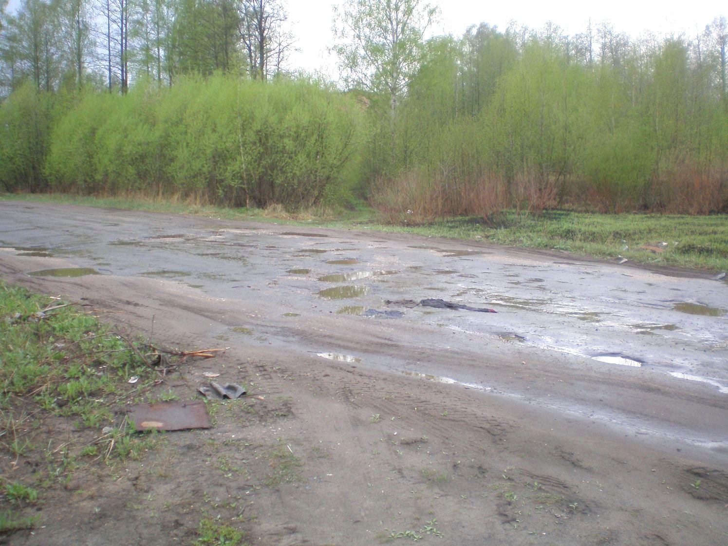 Узкоколейная железная дорога Рошальского химического комбината — фотографии, сделанные в 2009 году