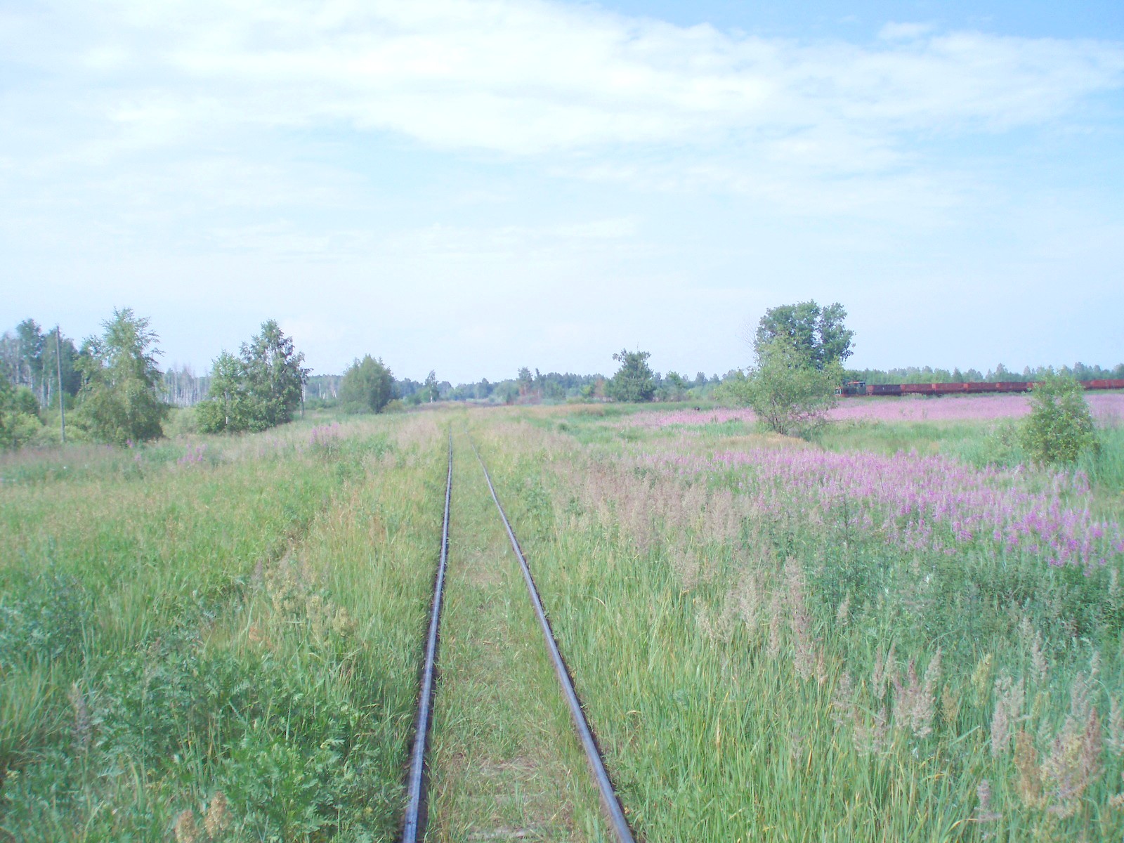 Узкоколейная железная дорога Шатурского транспортного управления — фотографии, сделанные в 2006 году (часть 16)
