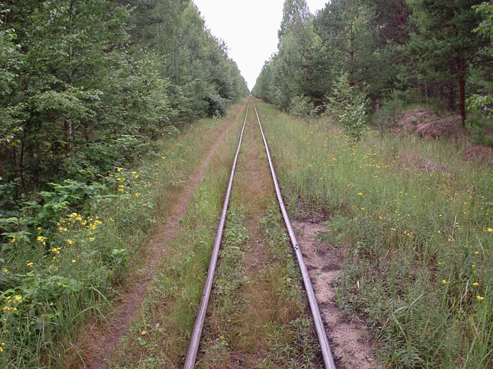 Узкоколейная железная дорога Шатурского транспортного управления — фотографии, сделанные в 2006 году (часть 36)