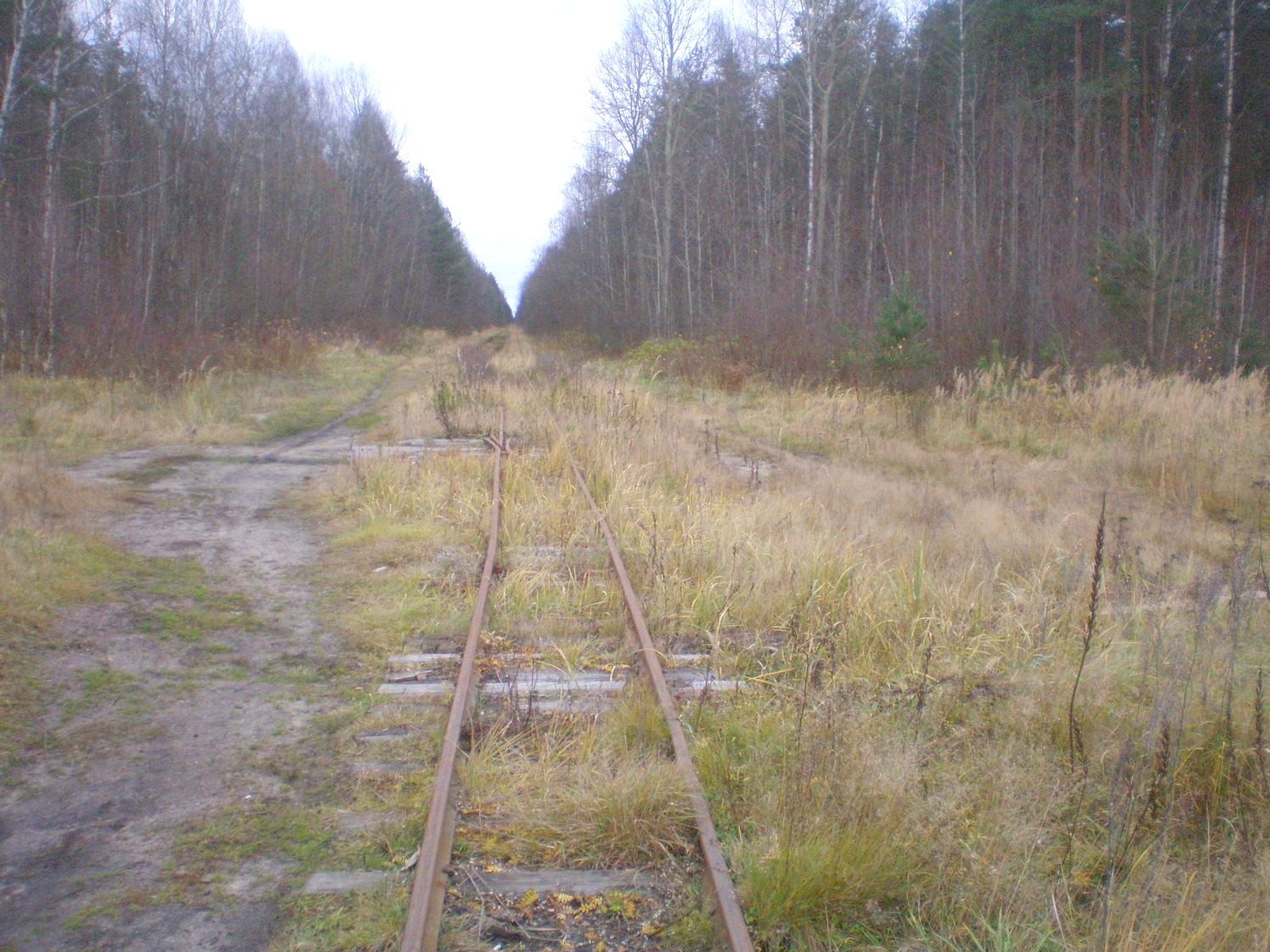 Узкоколейная железная дорога Шатурского транспортного управления — фотографии, сделанные в 2008 году (часть 18)