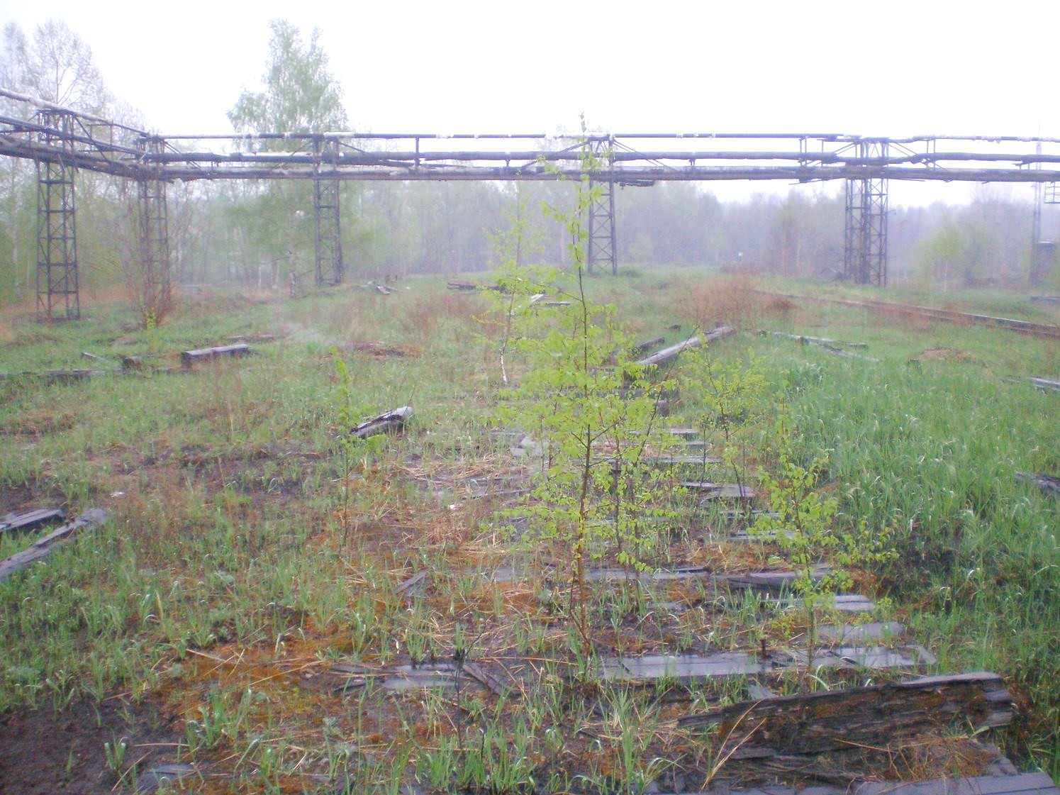 Узкоколейная железная дорога Шатурского транспортного управления — фотографии, сделанные в 2009 году (часть 6)