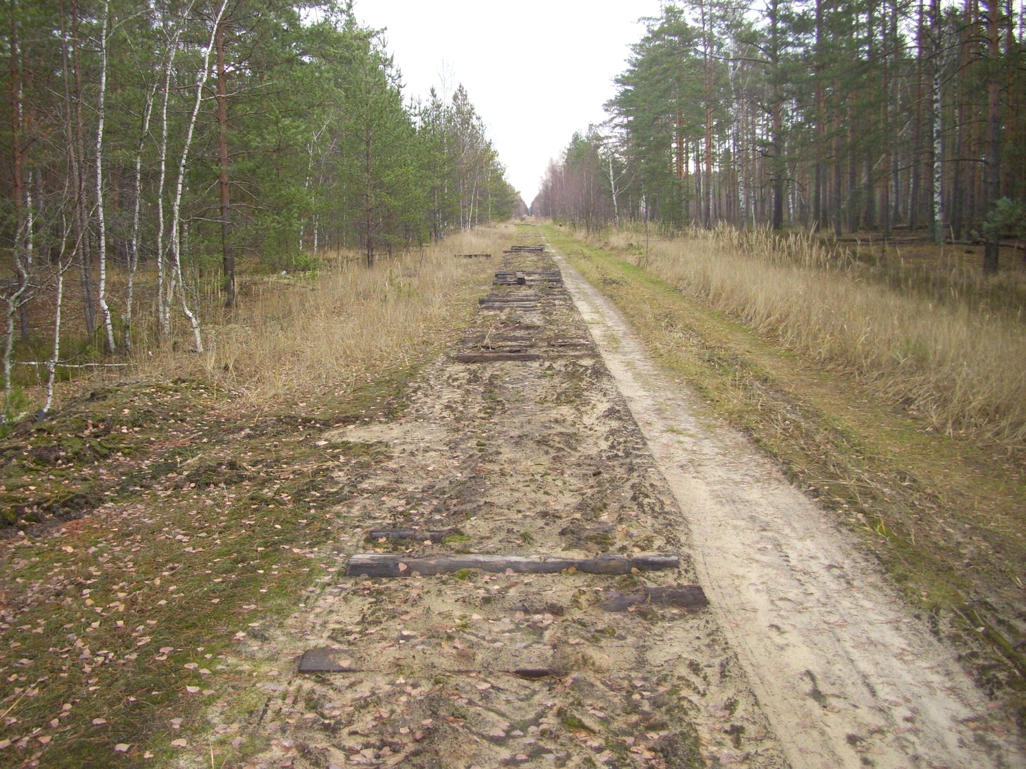 Узкоколейная железная дорога Шатурского транспортного управления — фотографии, сделанные в 2009 году (часть 53)