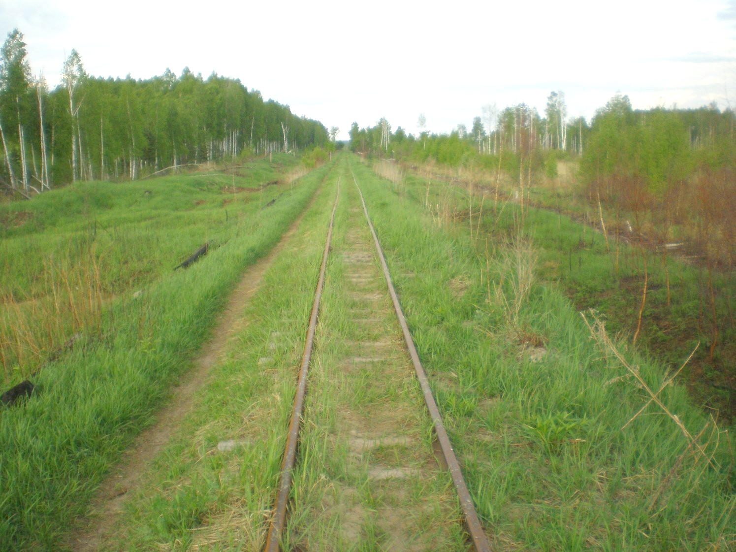 Узкоколейная железная дорога Шатурского транспортного управления — фотографии, сделанные в 2009 году (часть 14)