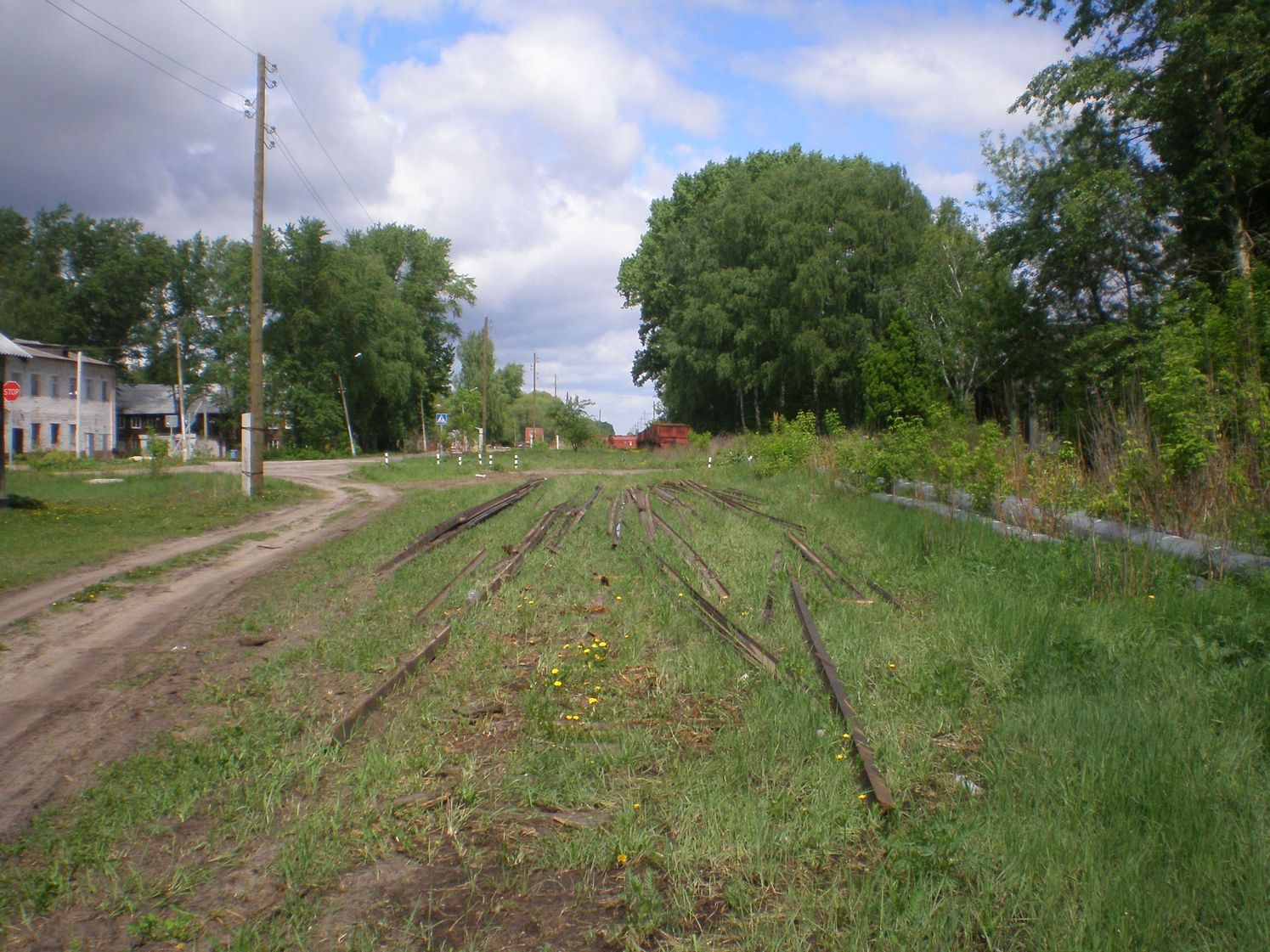 Узкоколейная железная дорога Шатурского транспортного управления — фотографии, сделанные в 2009 году (часть 31)