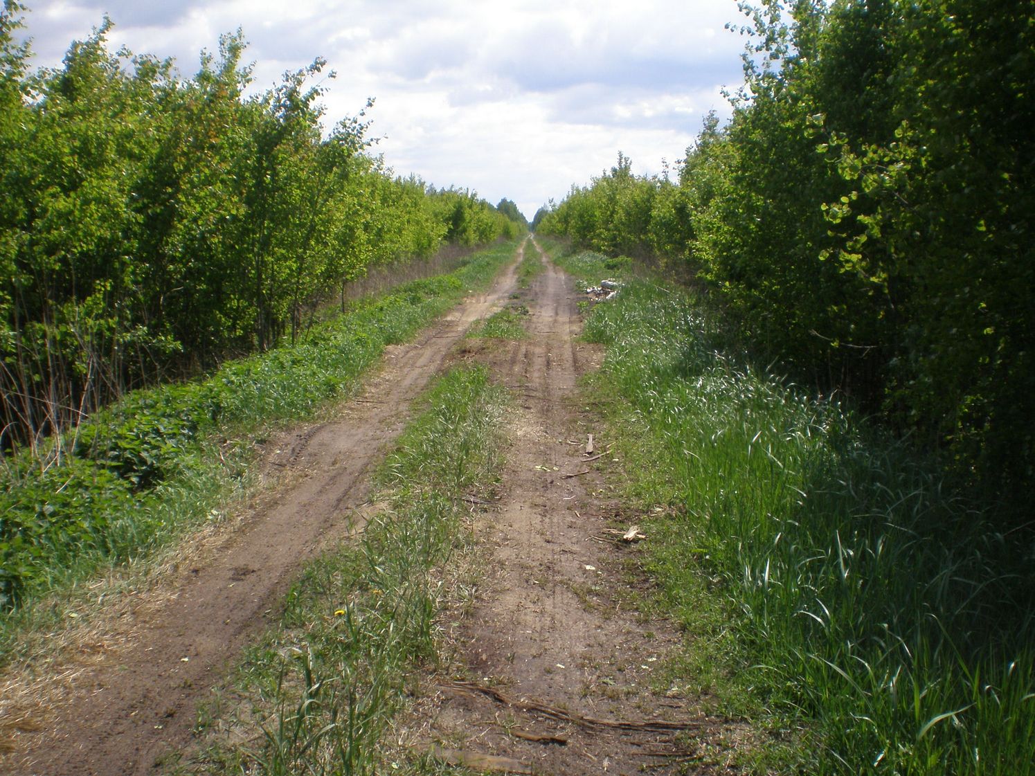 Узкоколейная железная дорога Шатурского транспортного управления — фотографии, сделанные в 2009 году (часть 36)