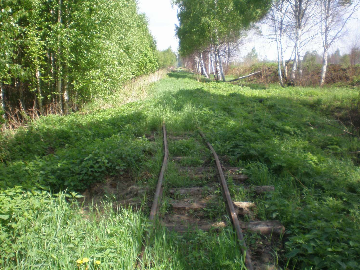 Узкоколейная железная дорога Шатурского транспортного управления — фотографии, сделанные в 2009 году (часть 39)