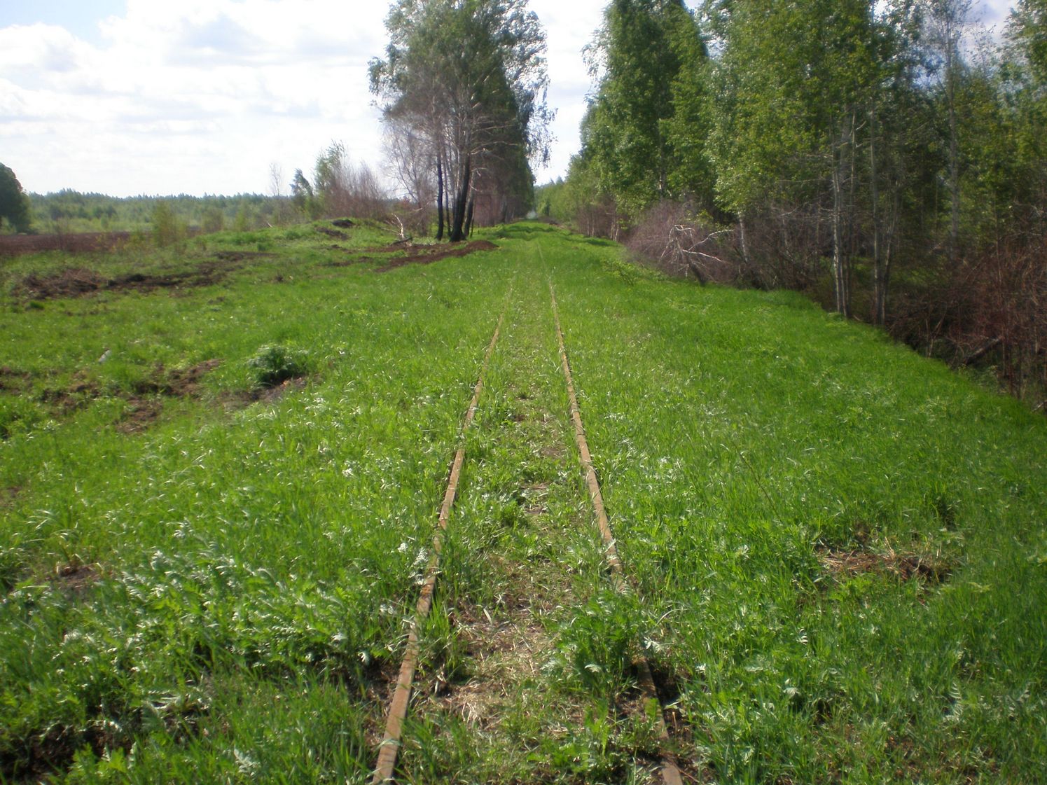 Узкоколейная железная дорога Шатурского транспортного управления — фотографии, сделанные в 2009 году (часть 40)
