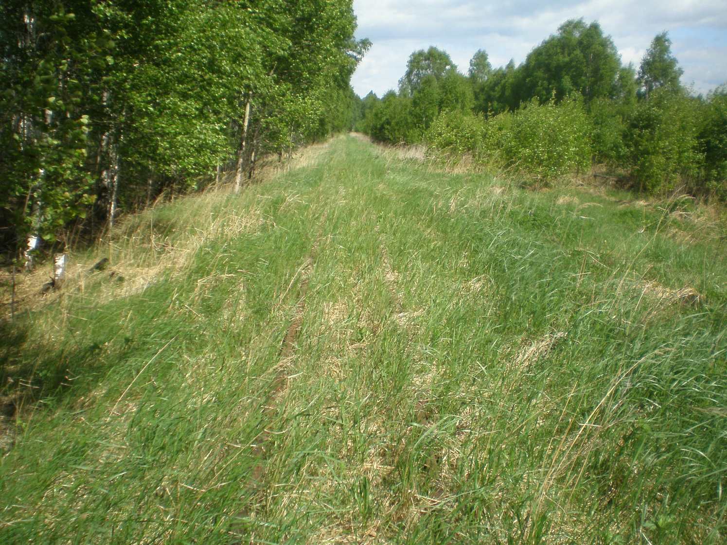 Узкоколейная железная дорога Шатурского транспортного управления — фотографии, сделанные в 2009 году (часть 43)