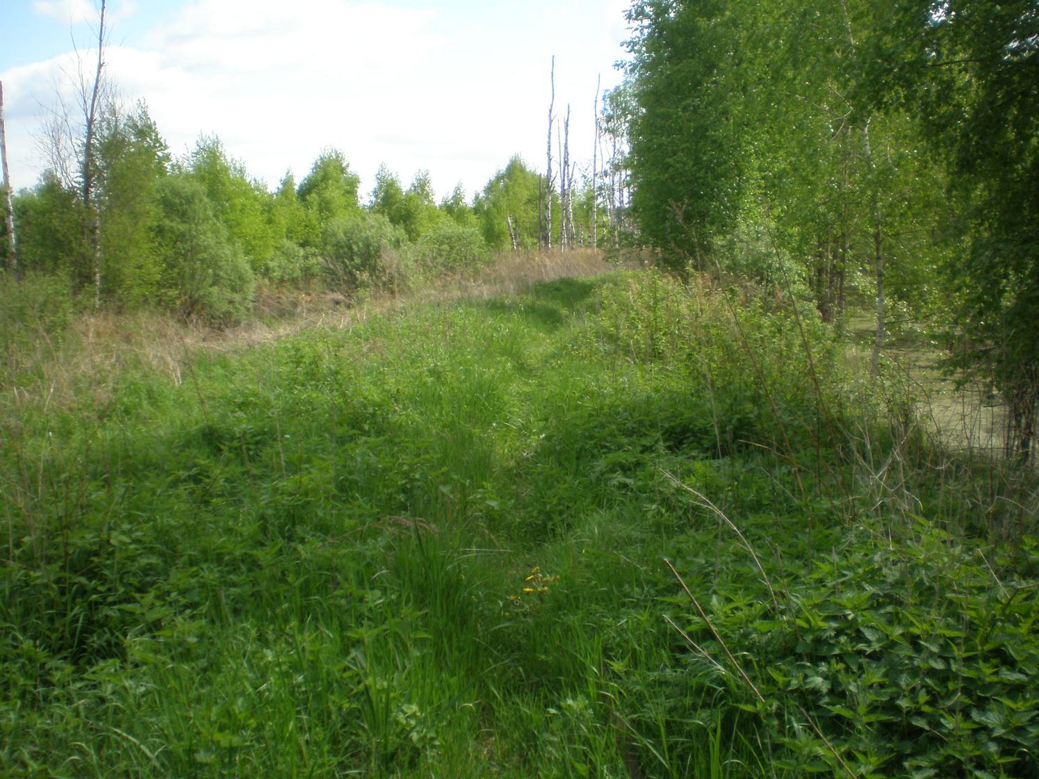 Узкоколейная железная дорога Шатурского транспортного управления — фотографии, сделанные в 2009 году (часть 44)