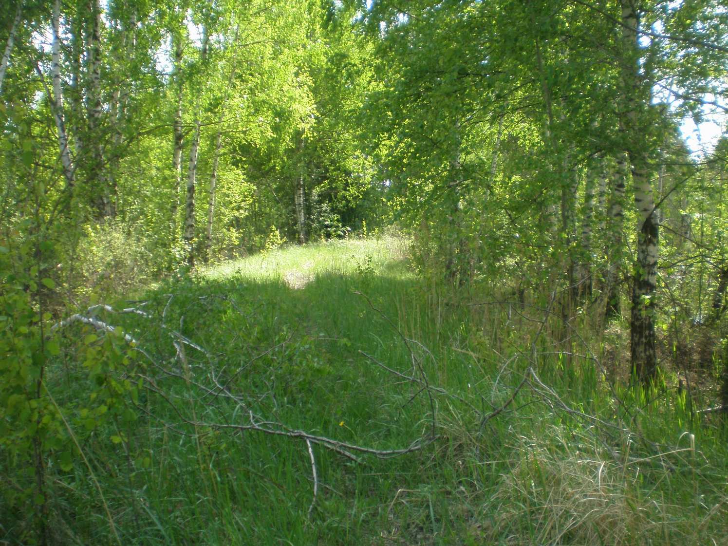 Узкоколейная железная дорога Шатурского транспортного управления — фотографии, сделанные в 2009 году (часть 47)