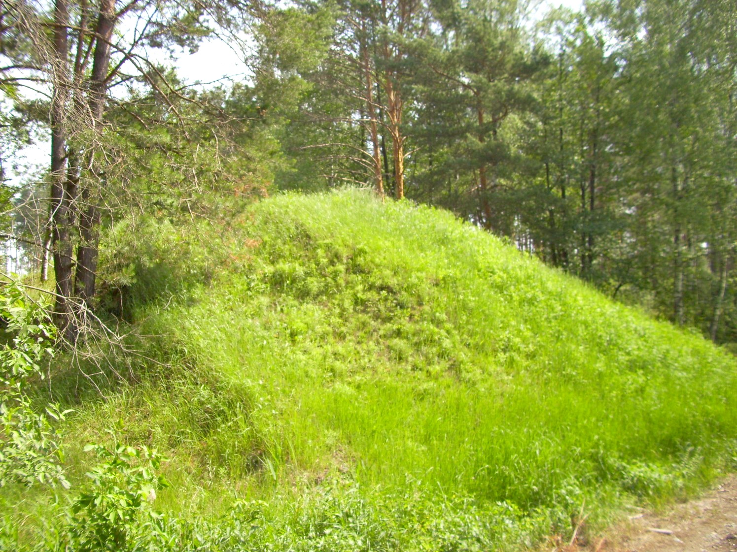 Узкоколейная железная дорога Шатурского транспортного управления — фотографии, сделанные в 2010 году