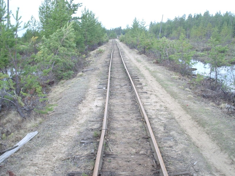 Усть-Лупьинская узкоколейная железная дорога - фотографии (часть 5)