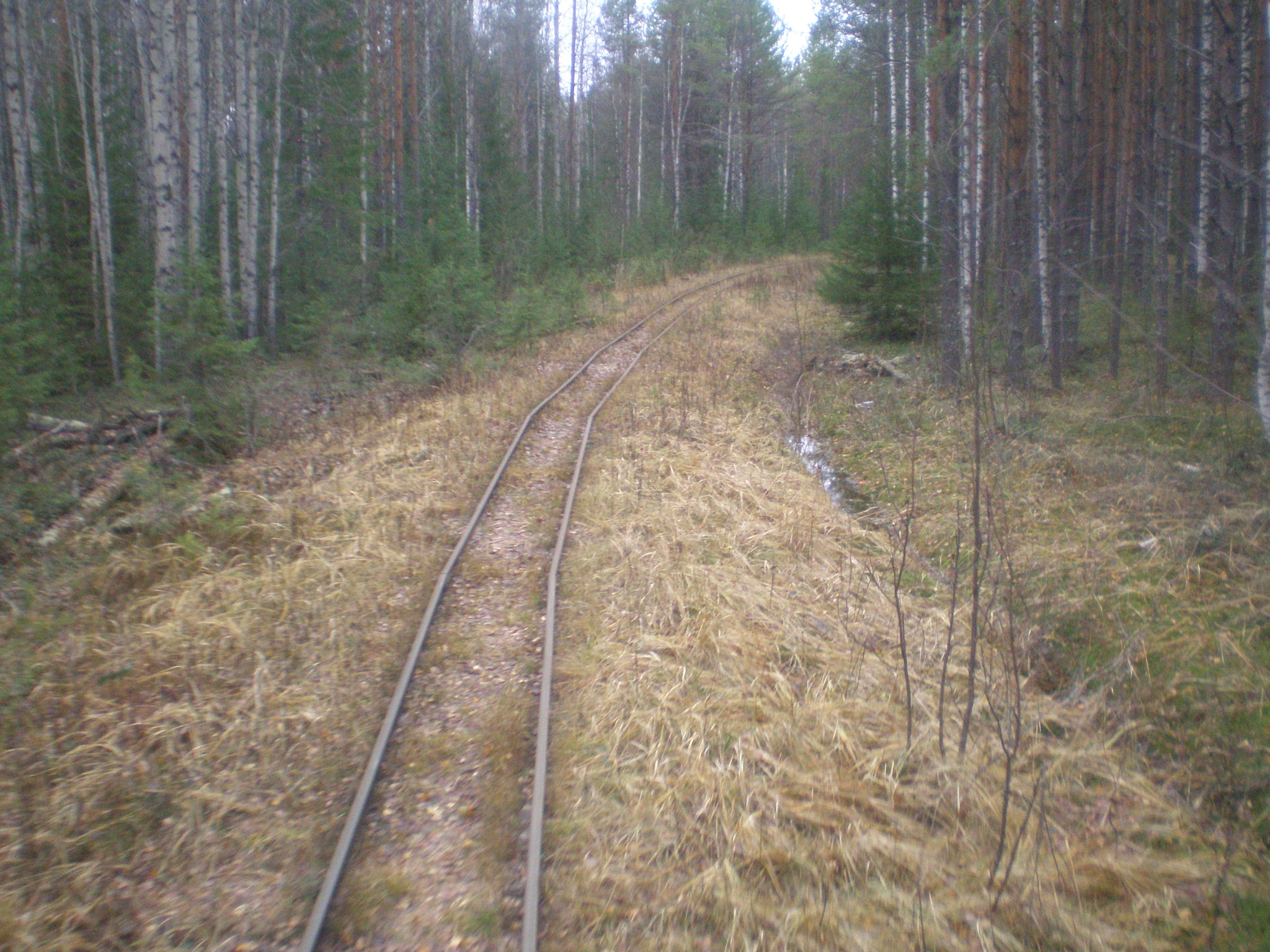 Пильвенская узкоколейная железная дорога  —  фотографии, сделанные в 2008 году (часть 6)